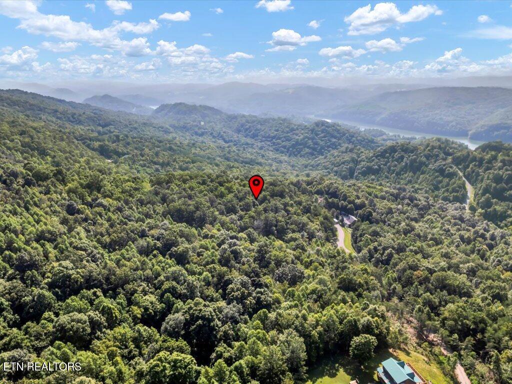 Lot 508 Hidden Springs Road New Tazewell TN 37825