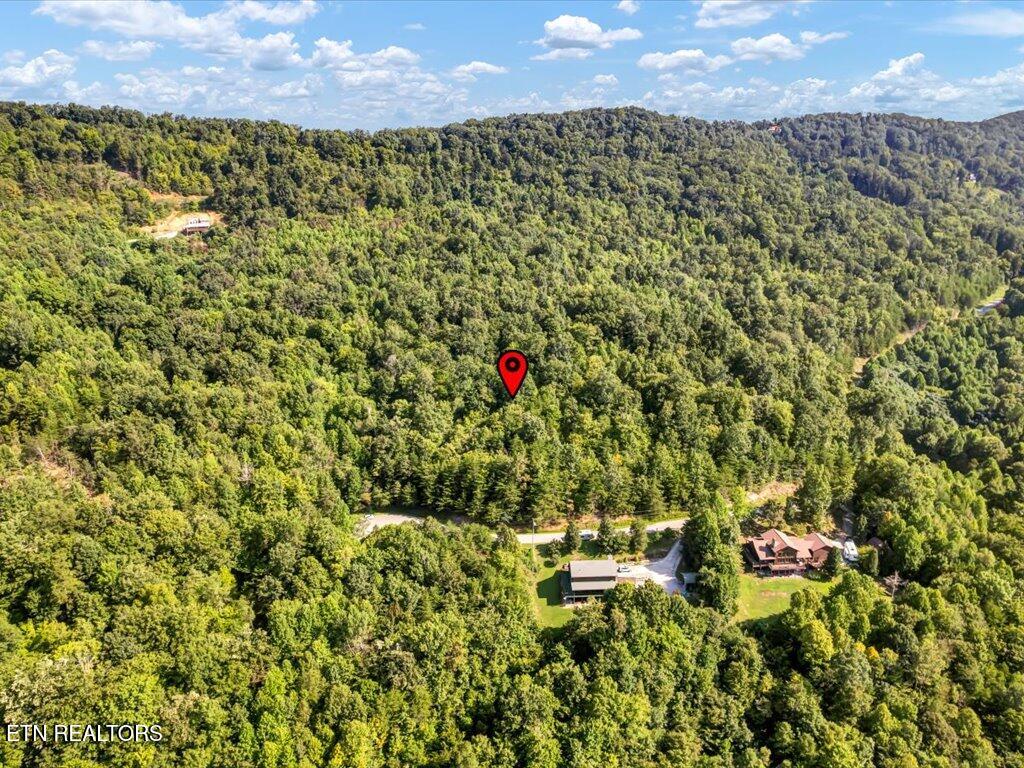 Lot 508 Hidden Springs Road New Tazewell TN 37825