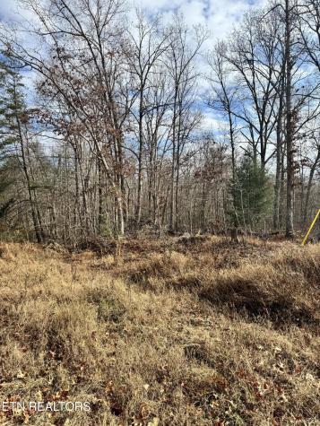 Peachtree Drive Crossville TN 38555