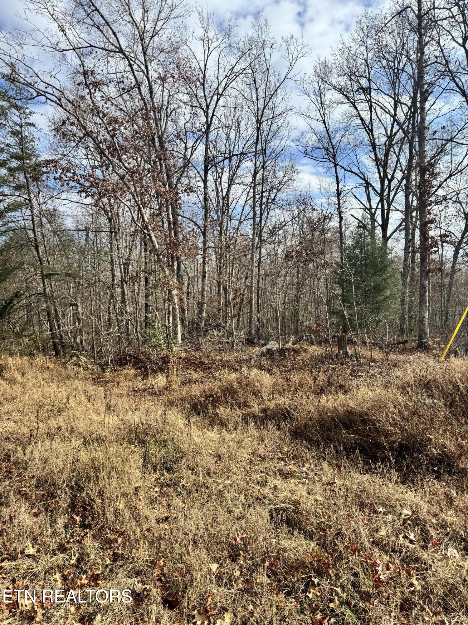 Peachtree Drive Crossville TN 38555