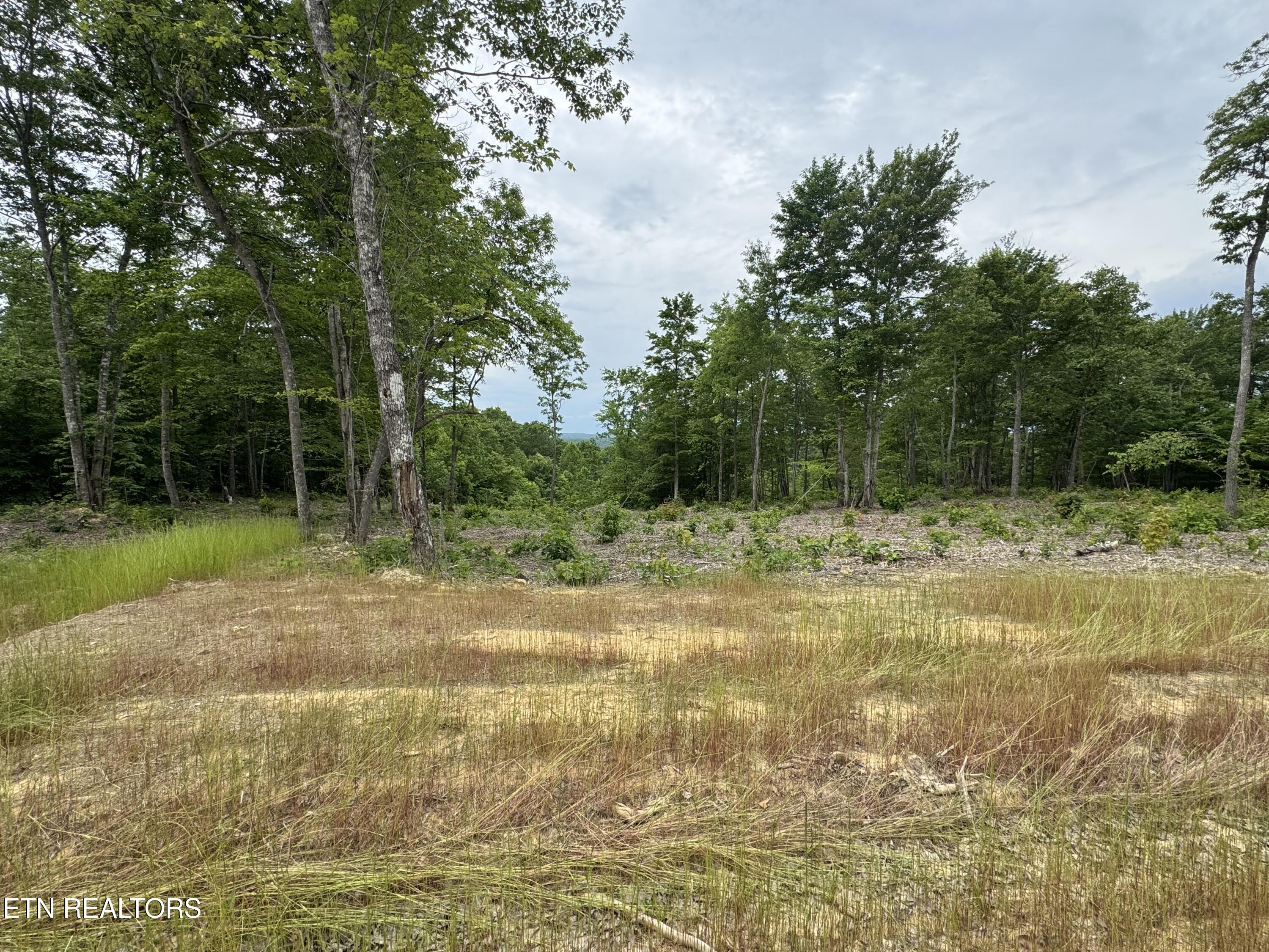 Sheep Ranch Road Robbins TN 37852