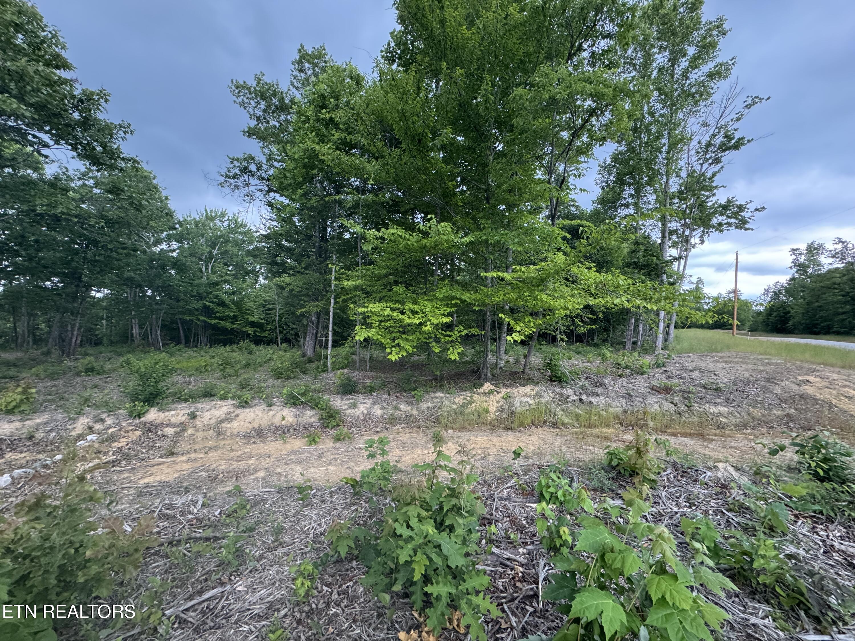 Sheep Ranch Road Robbins TN 37852
