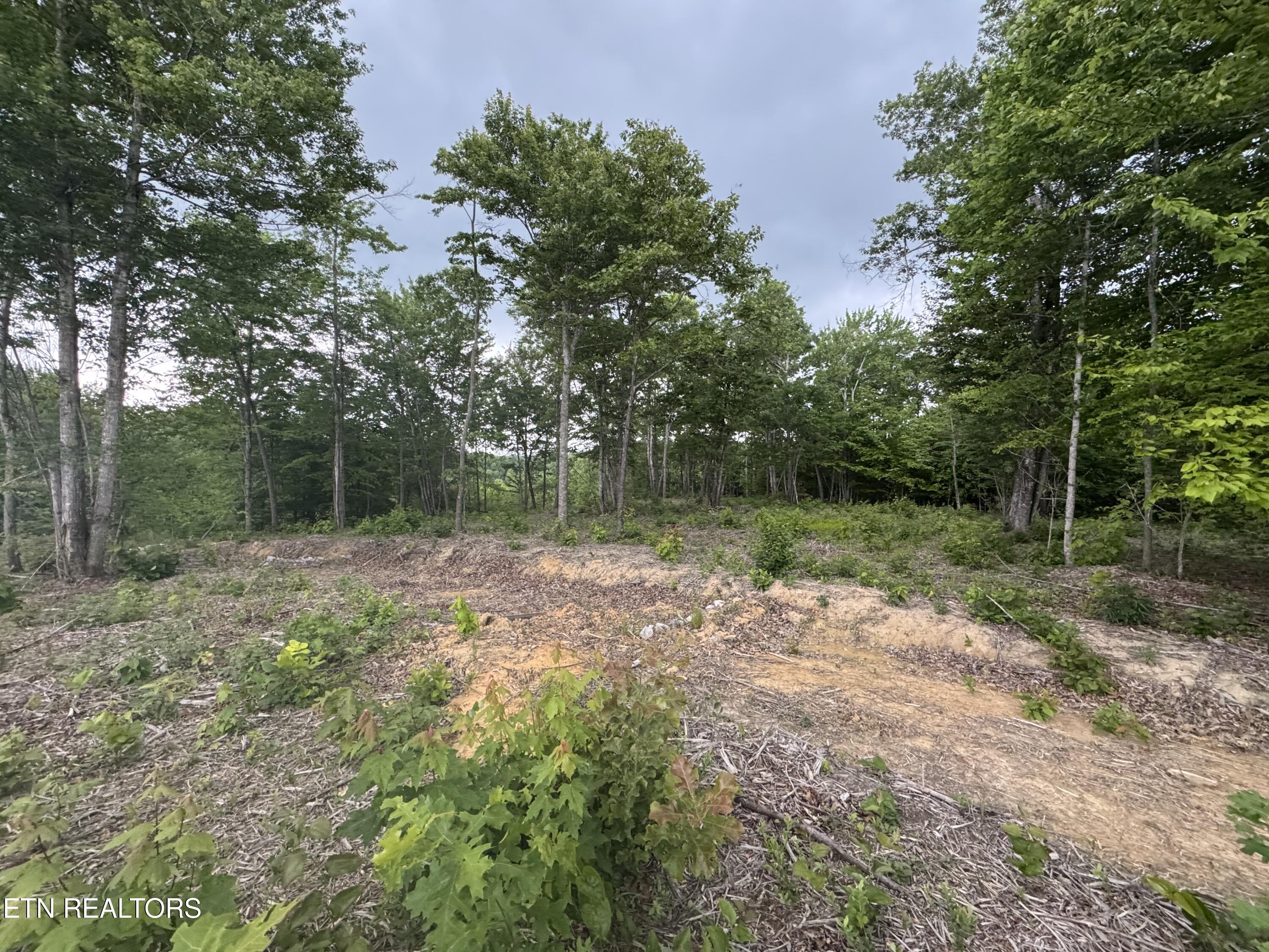Sheep Ranch Road Robbins TN 37852