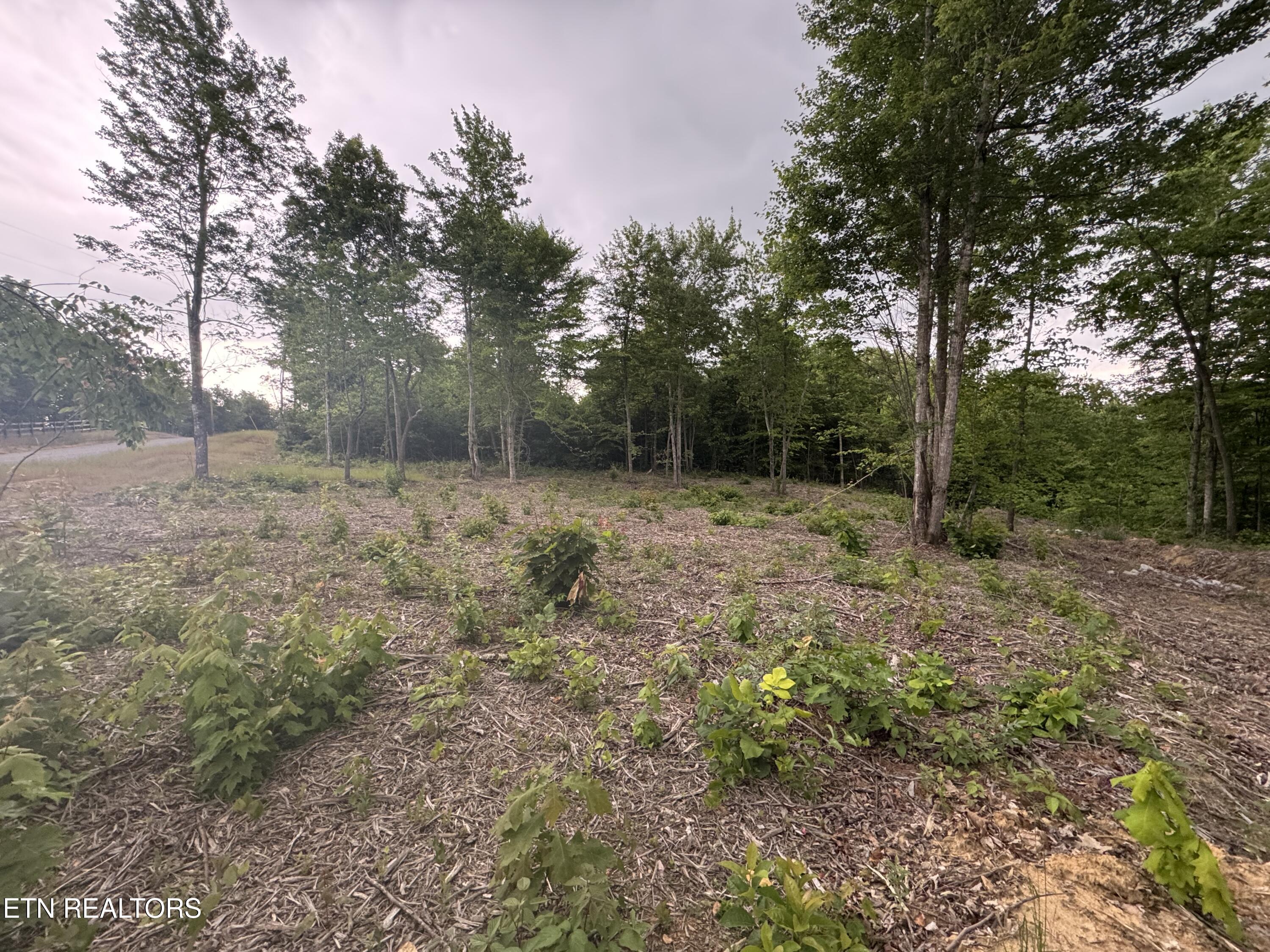 Sheep Ranch Road Robbins TN 37852