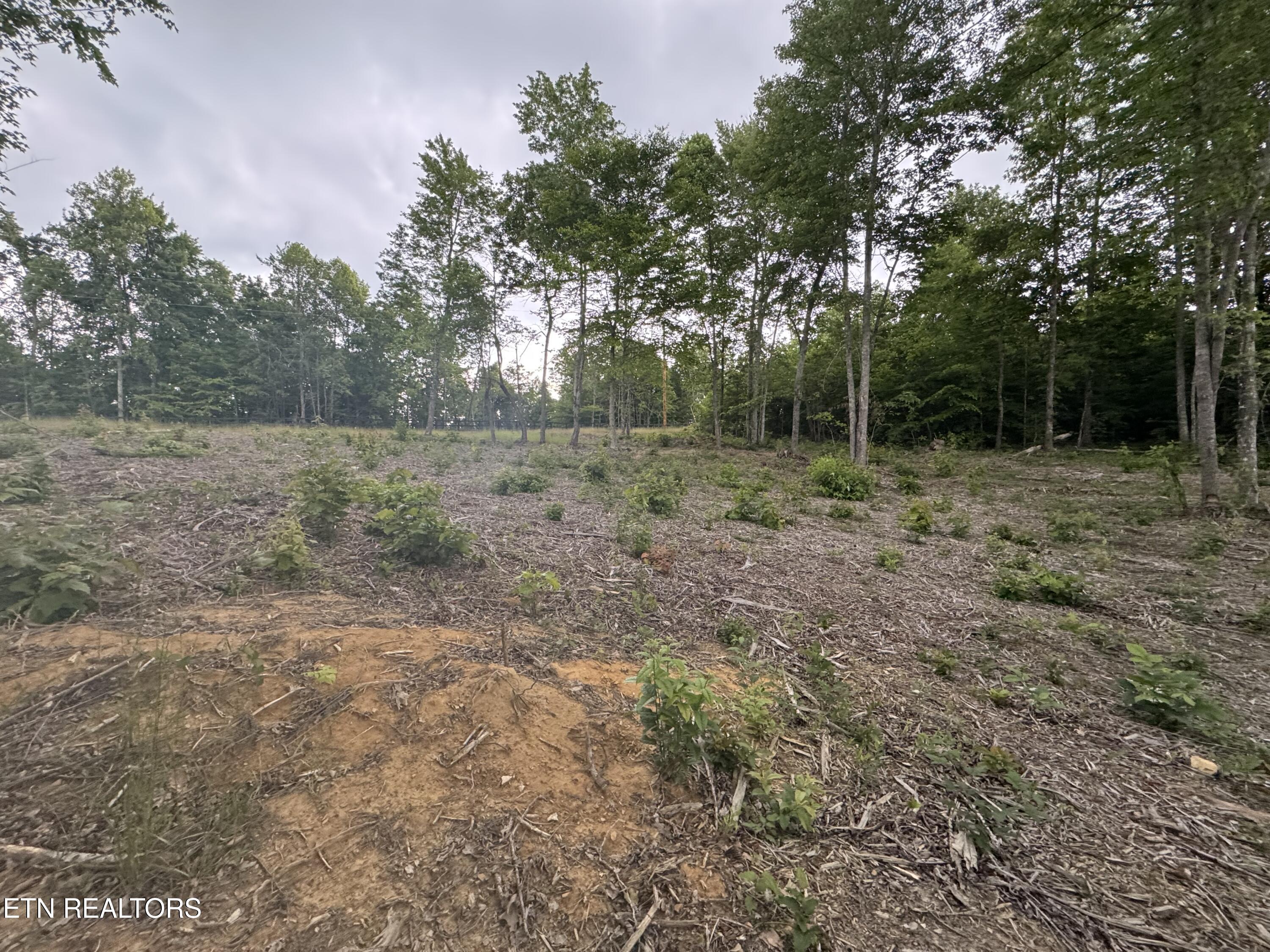 Sheep Ranch Road Robbins TN 37852