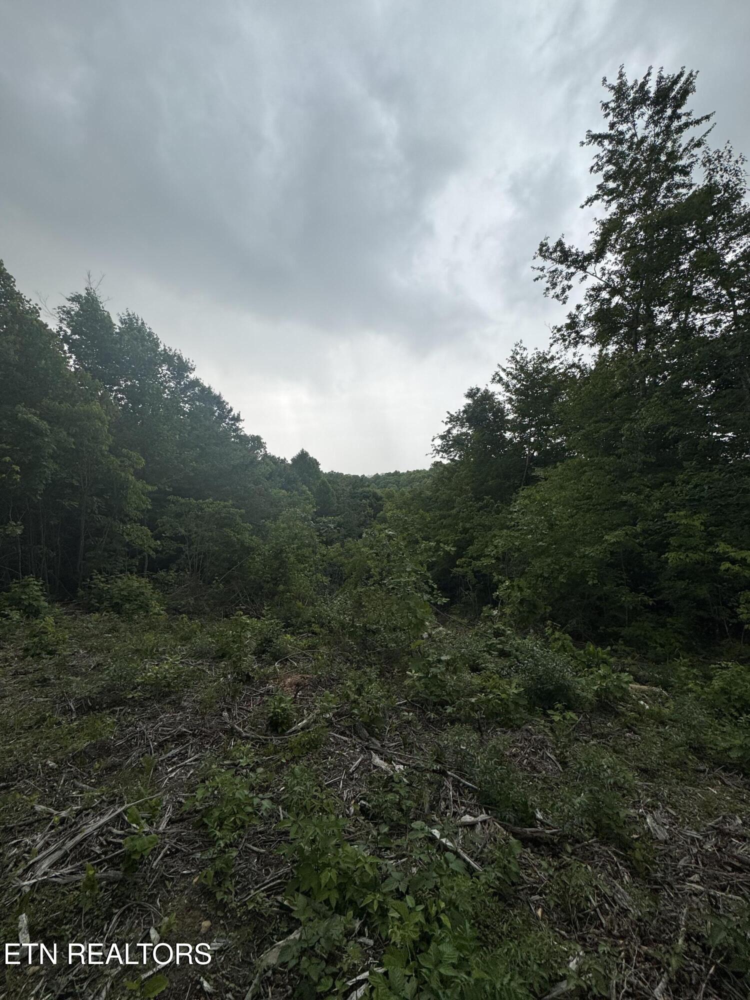 Sheep Ranch Road Robbins TN 37852