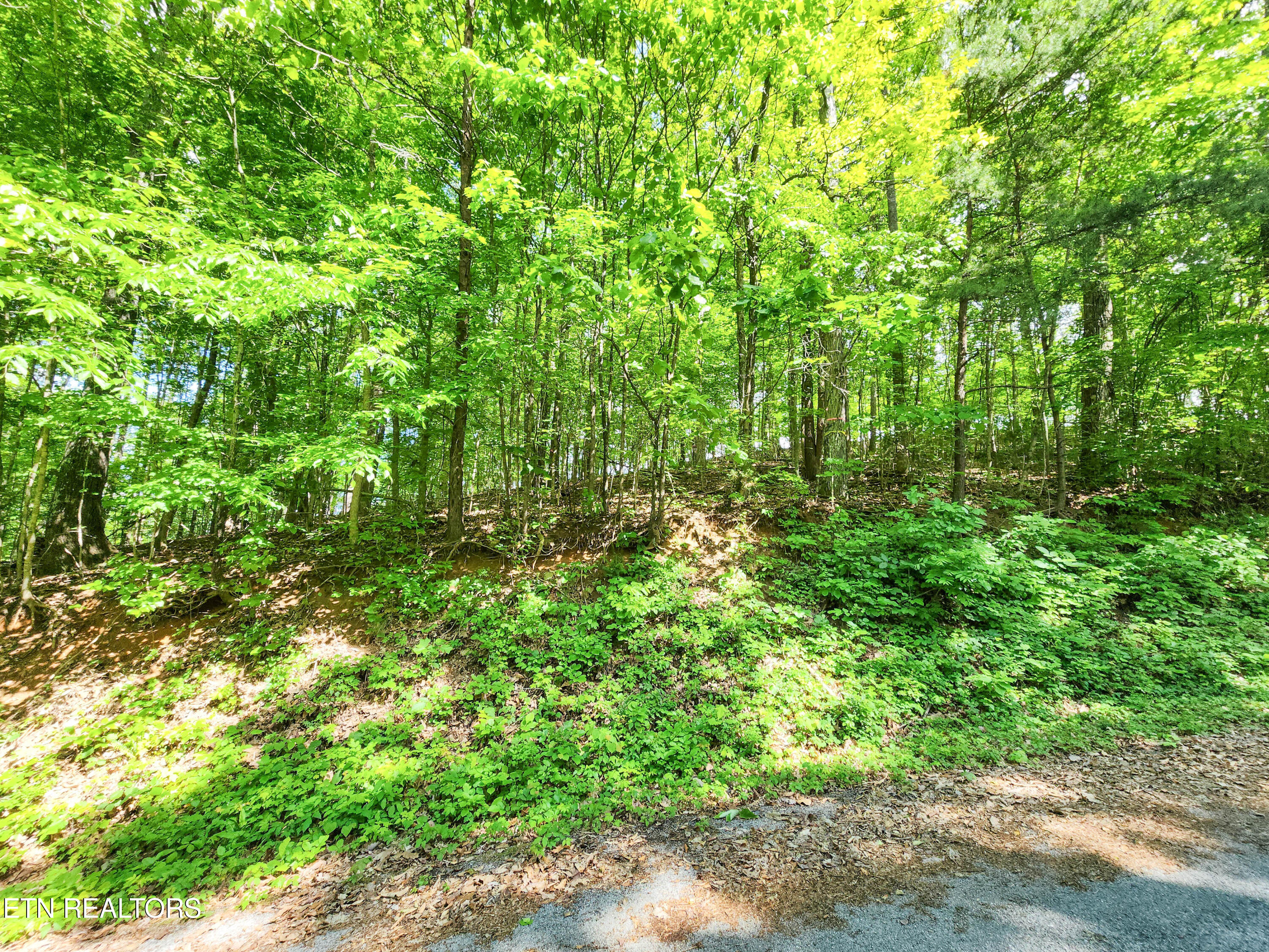 208 Sara Lane Maynardville TN 37807