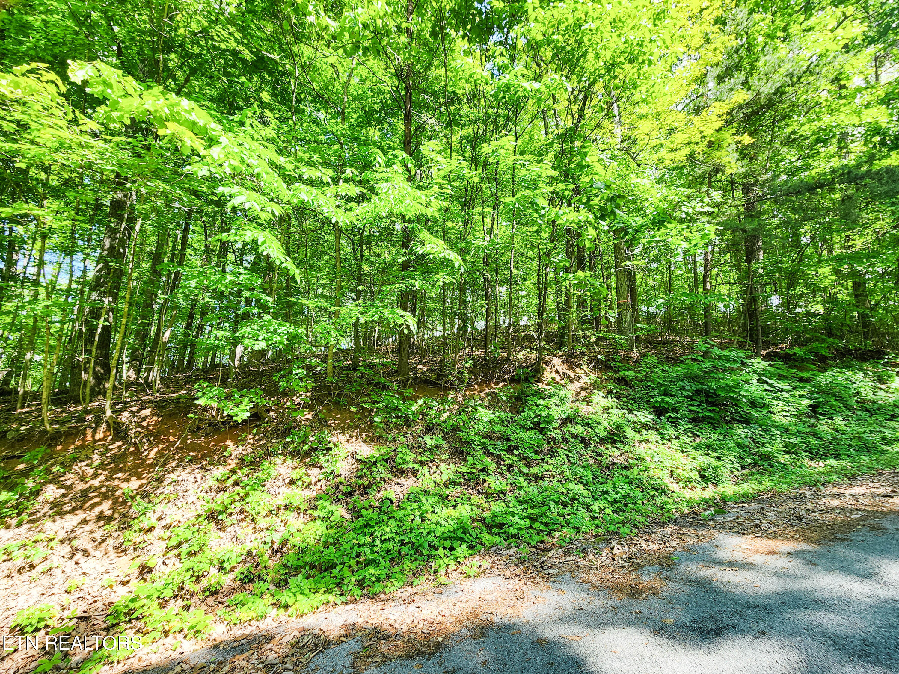208 Sara Lane Maynardville TN 37807