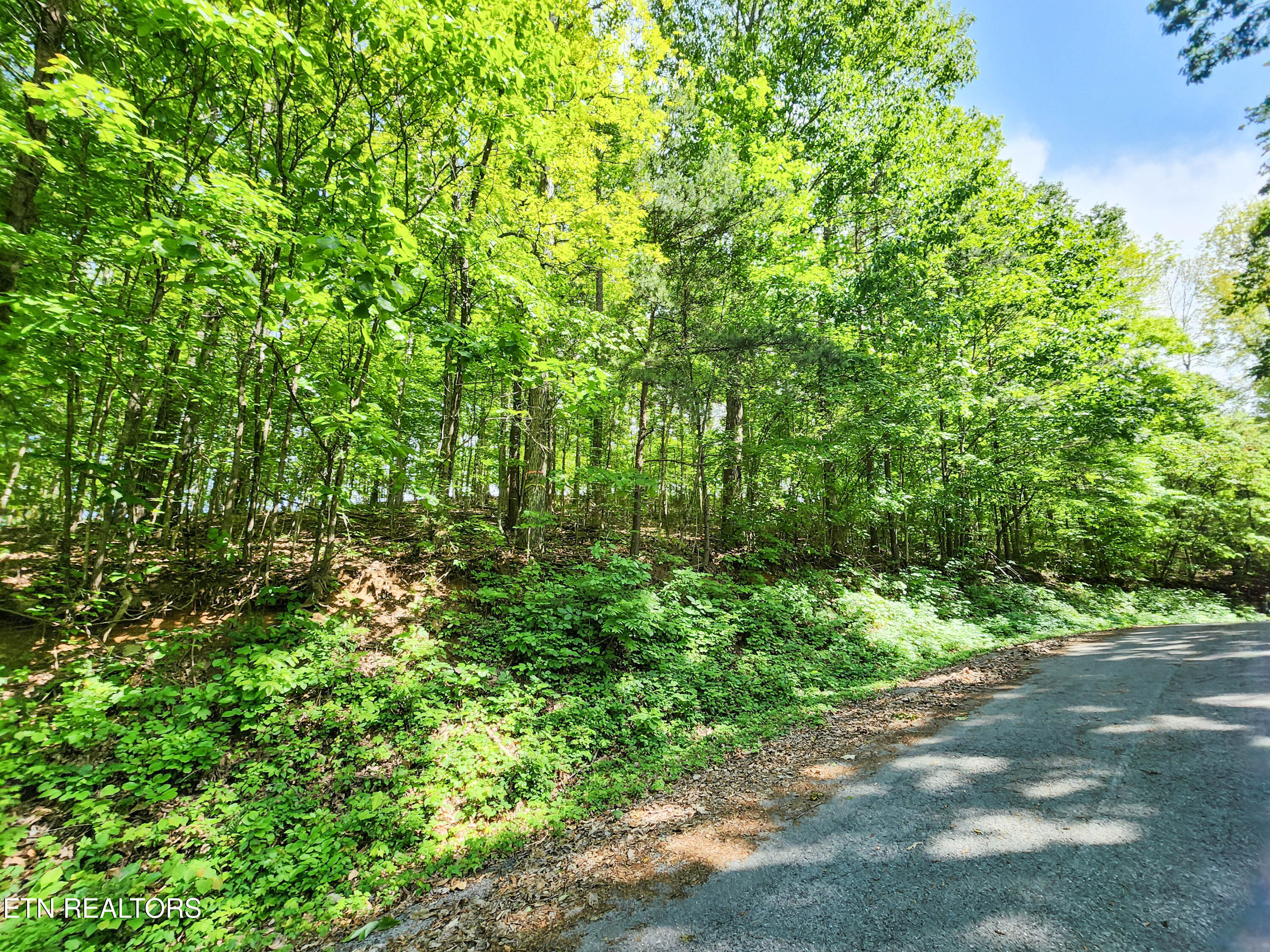208 Sara Lane Maynardville TN 37807