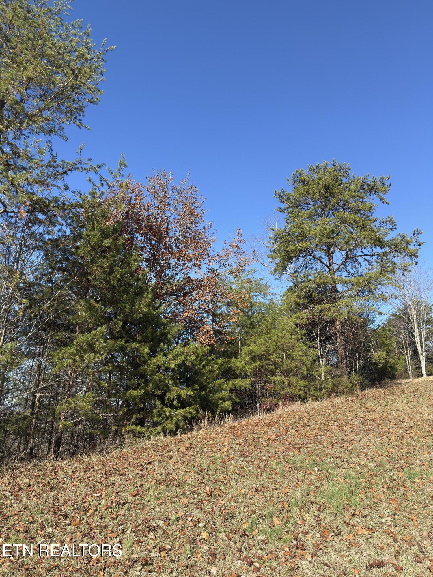 113 Highland Reserve Way Kingston TN 37763