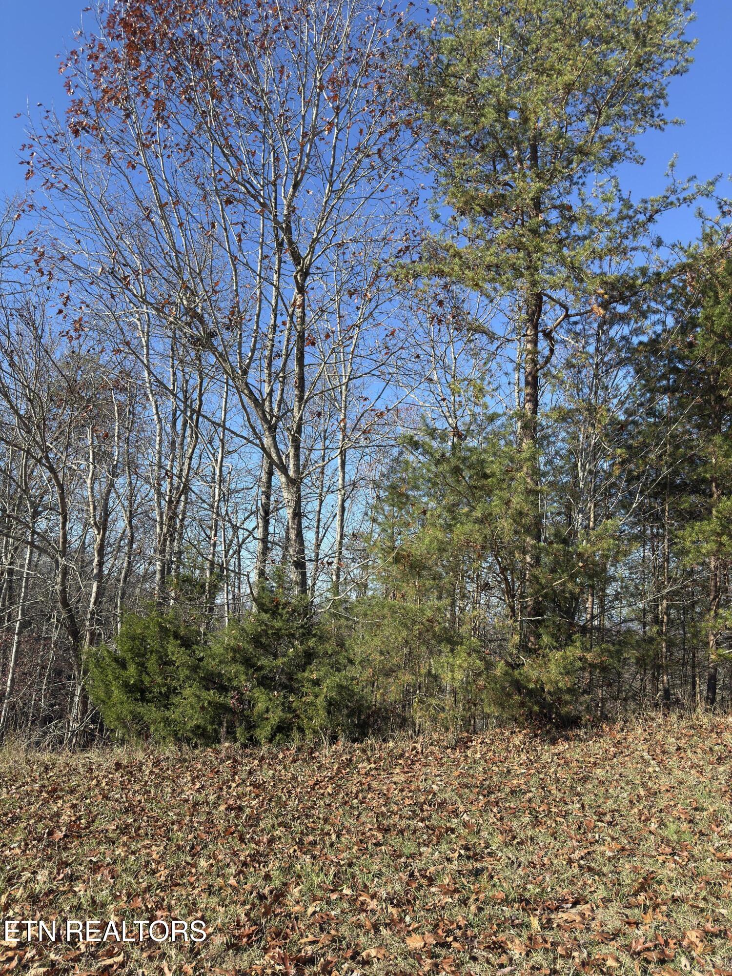 113 Highland Reserve Way Kingston TN 37763
