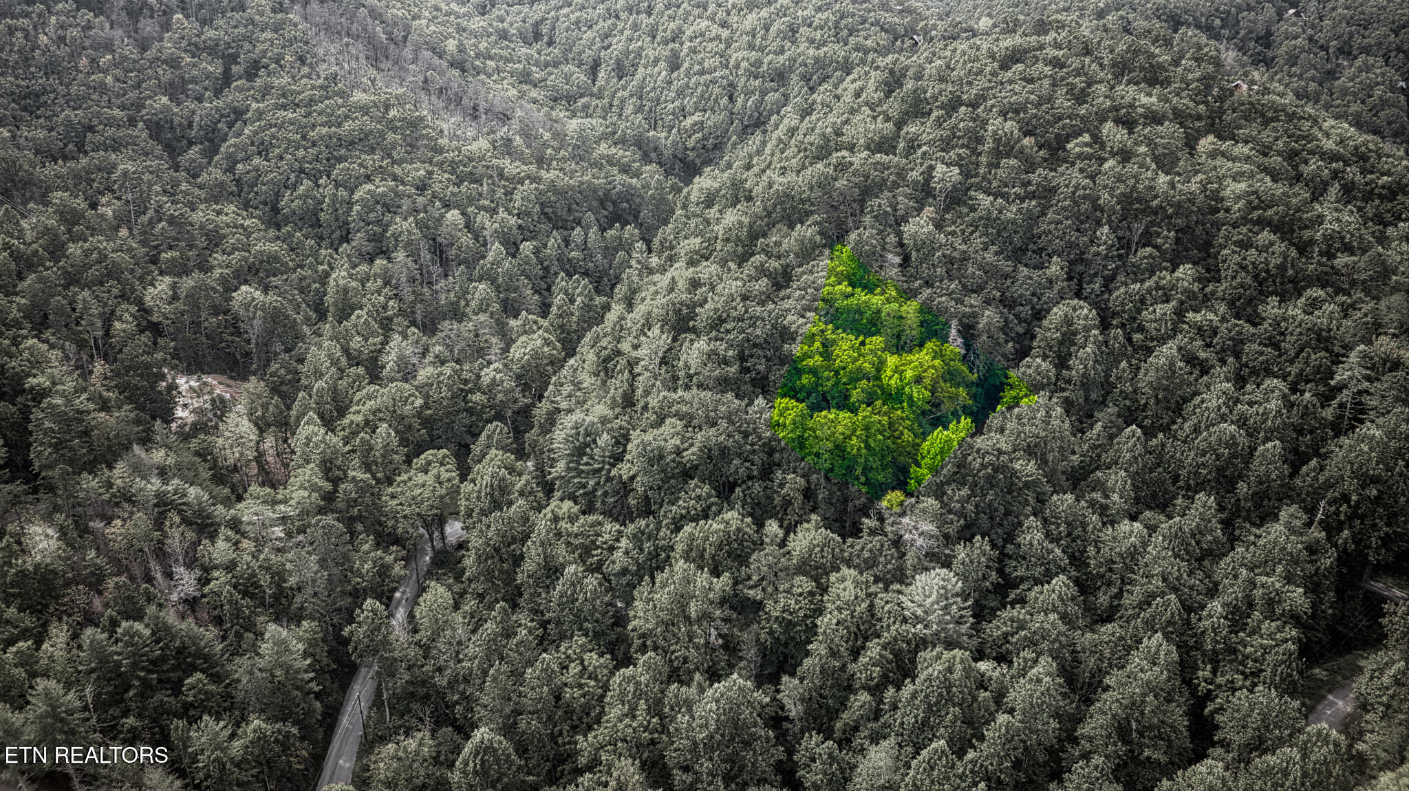 Stepping Stone Drive Sevierville TN 37862