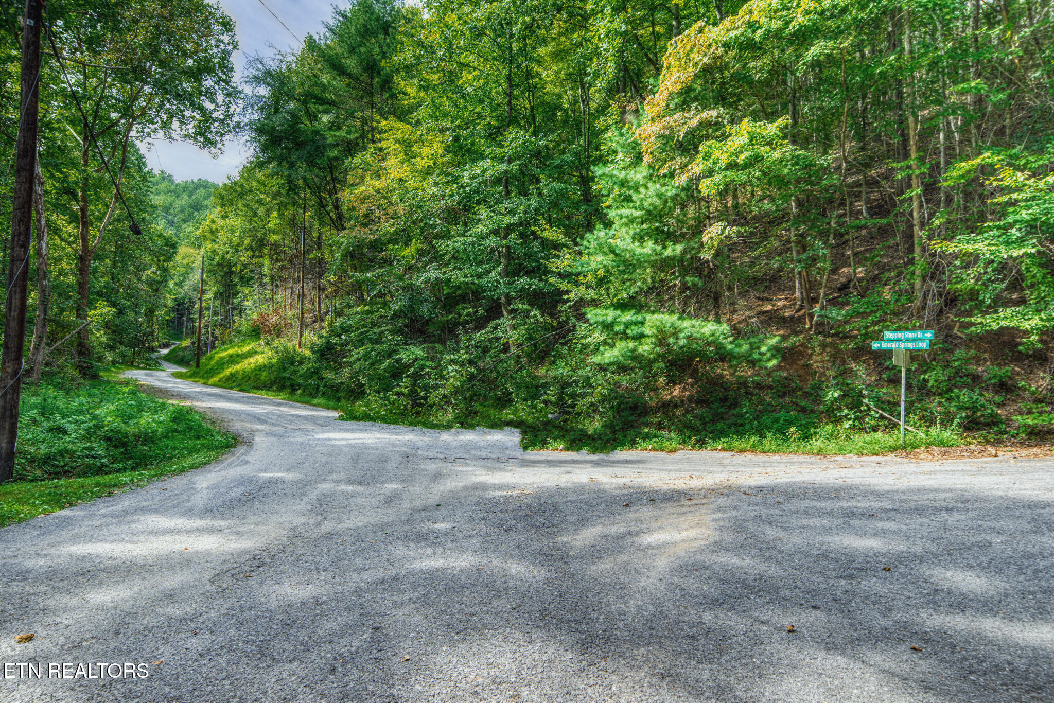 Stepping Stone Drive Sevierville TN 37862