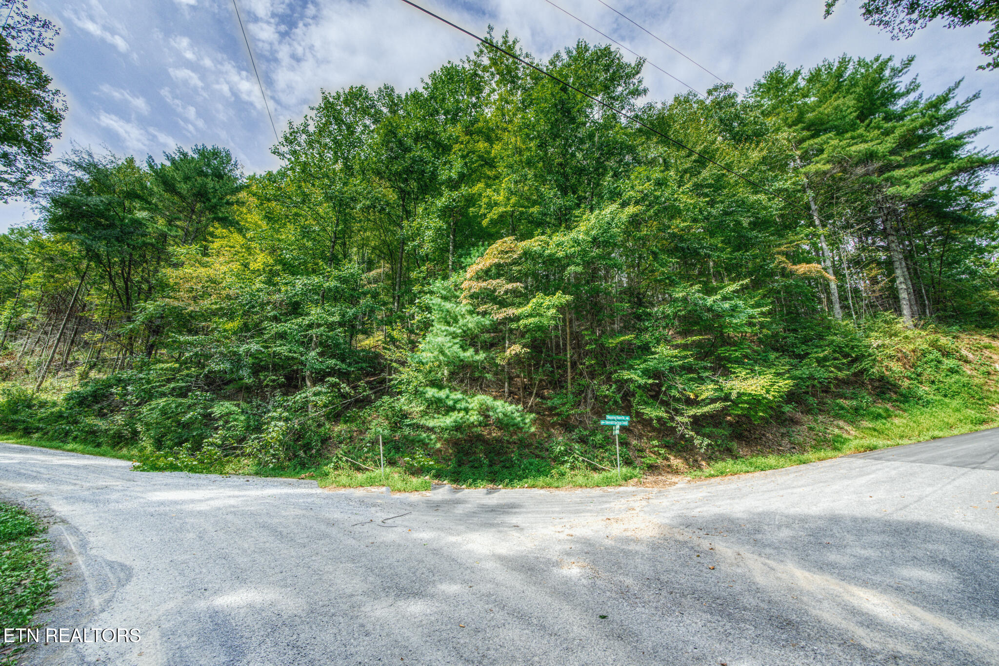 Stepping Stone Drive Sevierville TN 37862