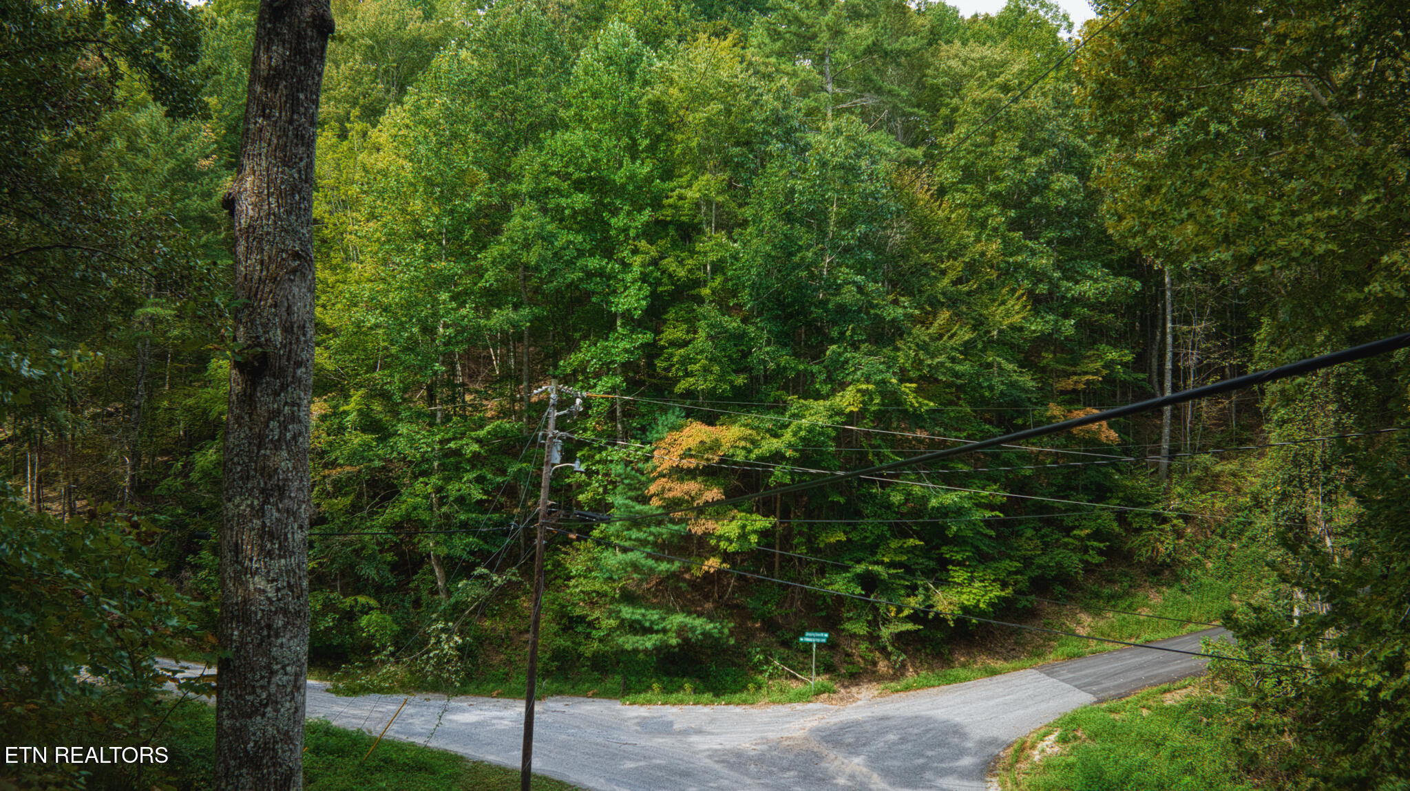 Stepping Stone Drive Sevierville TN 37862