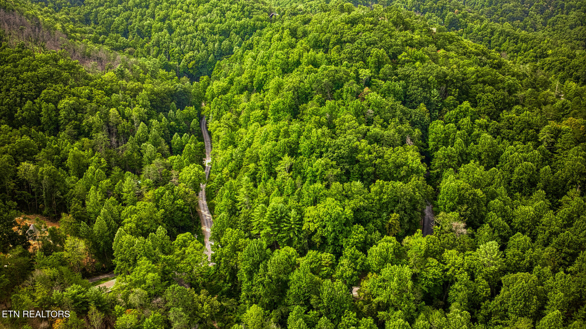 Stepping Stone Drive Sevierville TN 37862