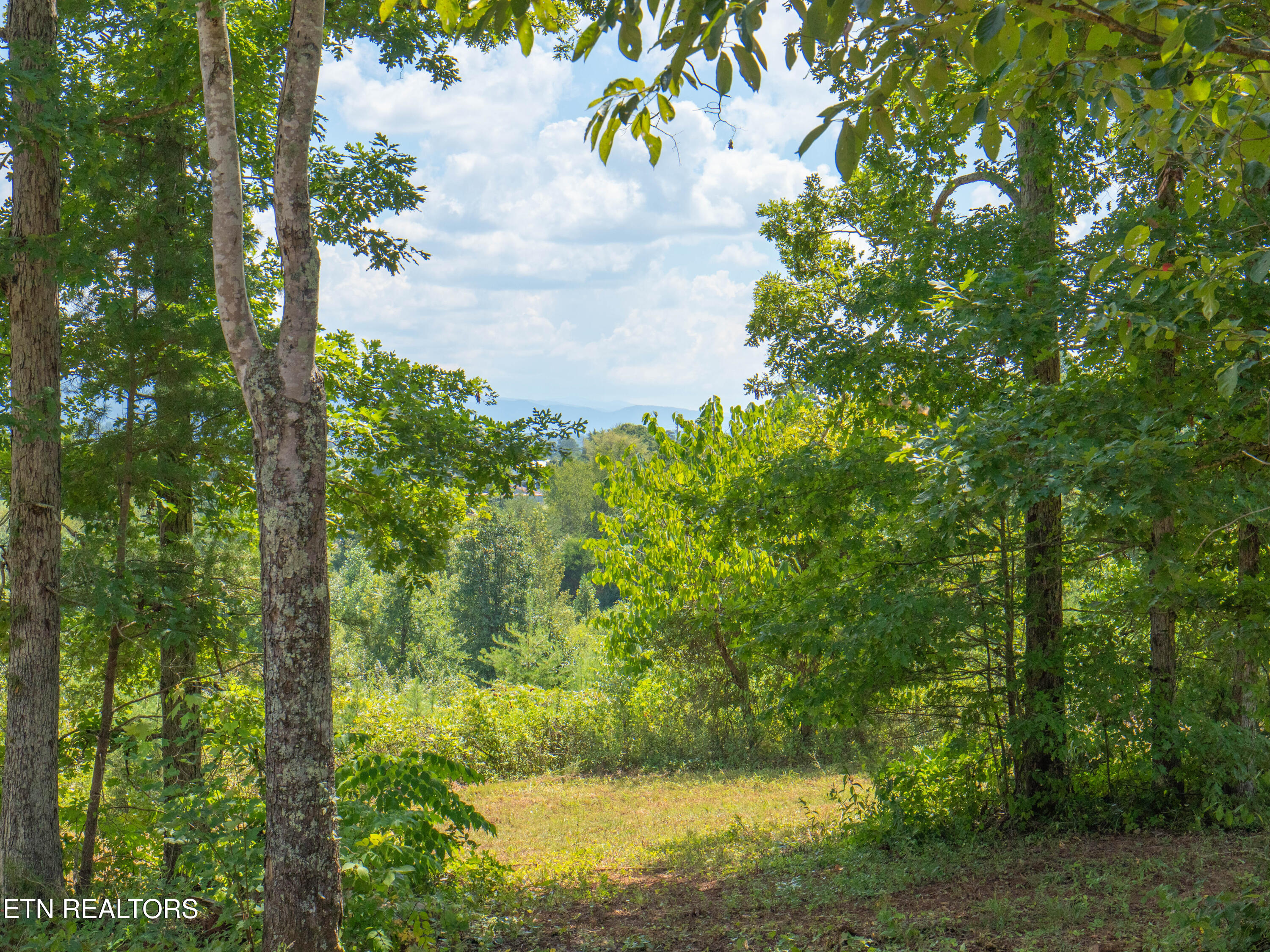 Tract 2 Hutton Ridge Road Maryville TN 37801