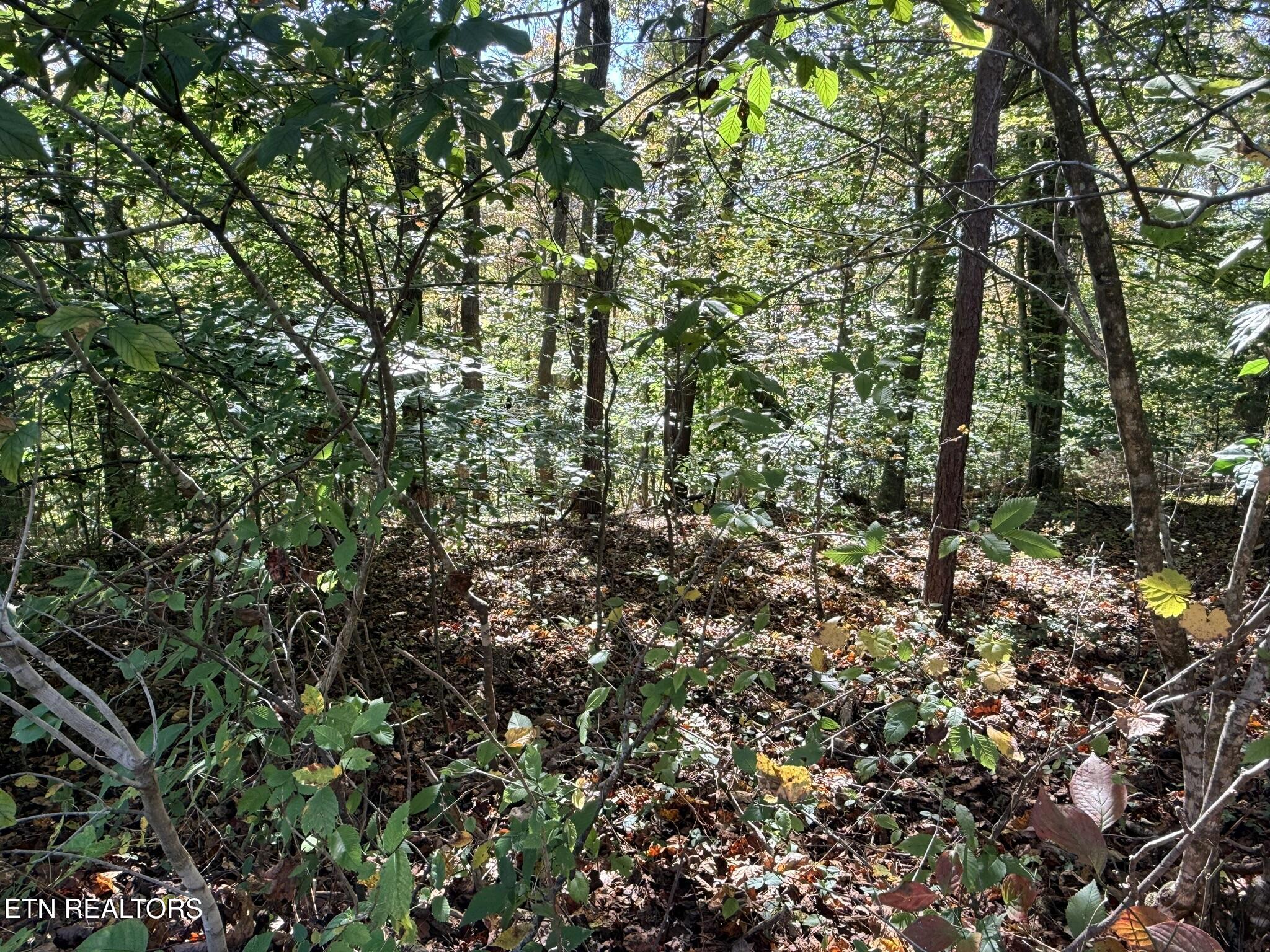 Indian Creek Road Jacksboro TN 37757