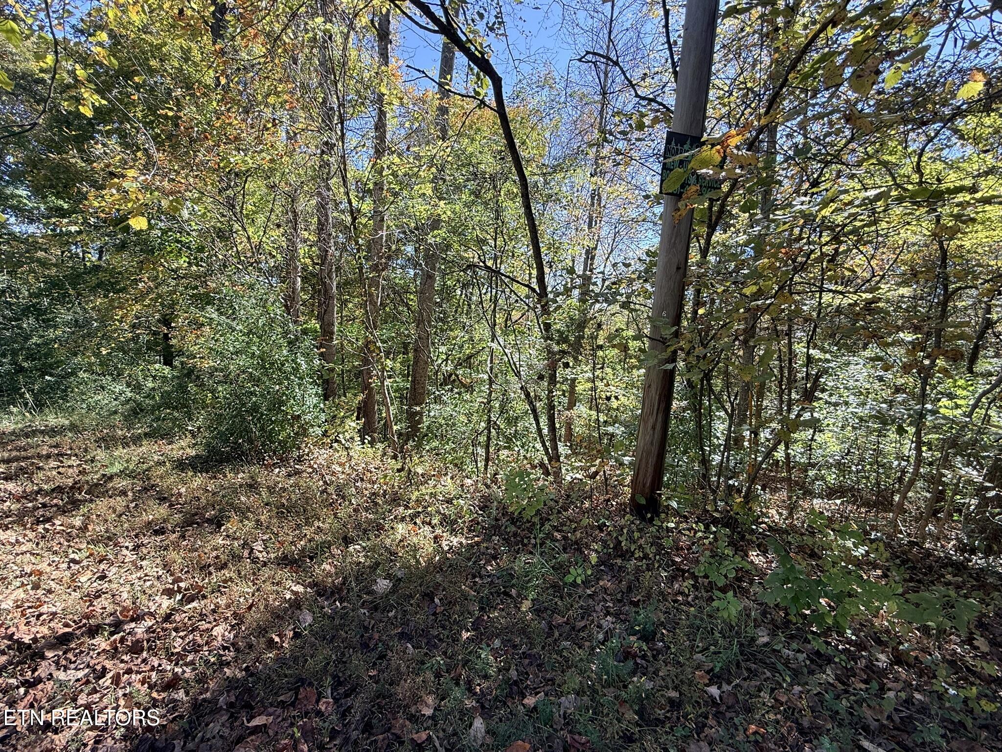 Indian Creek Road Jacksboro TN 37757