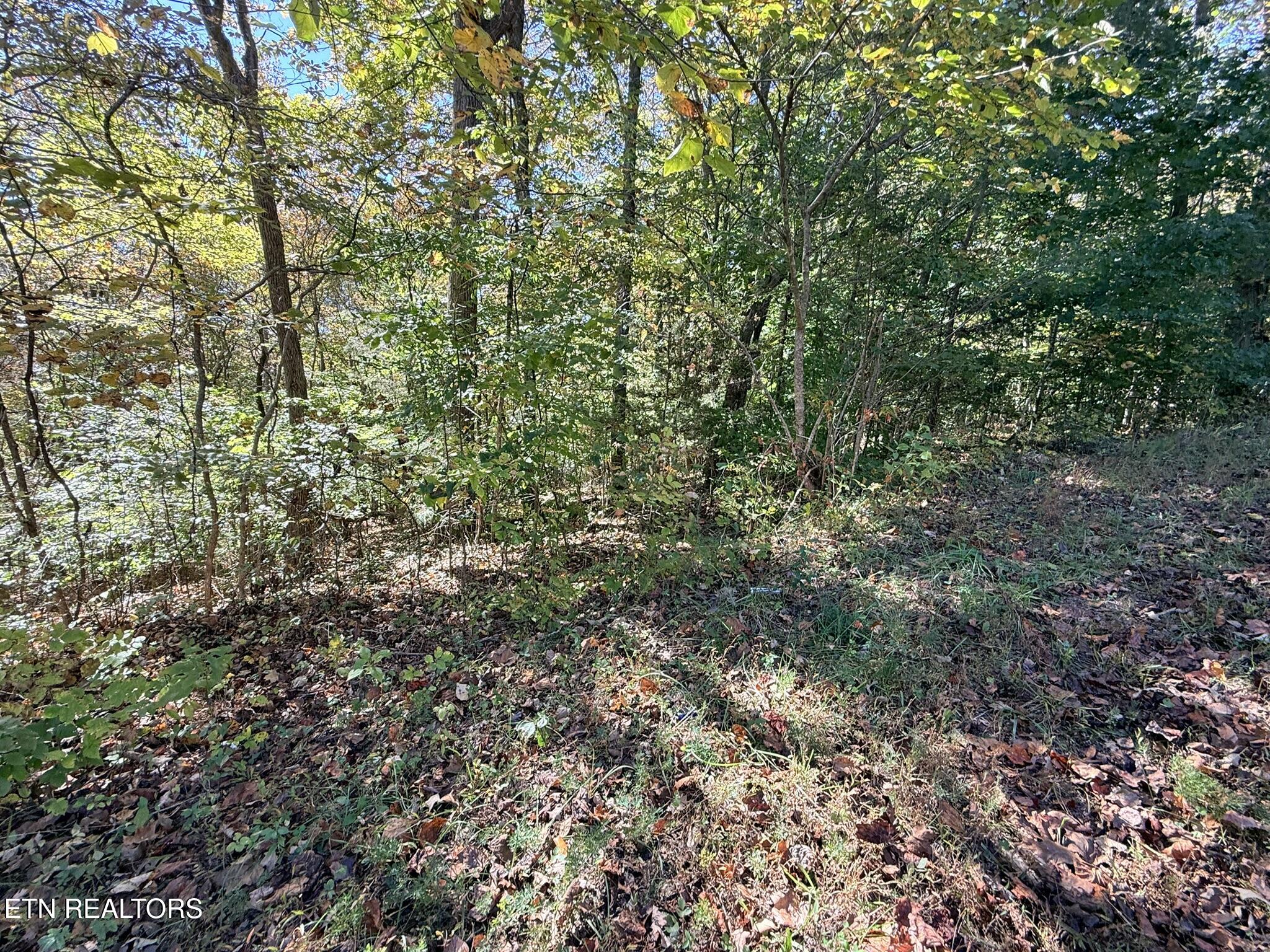 Indian Creek Road Jacksboro TN 37757