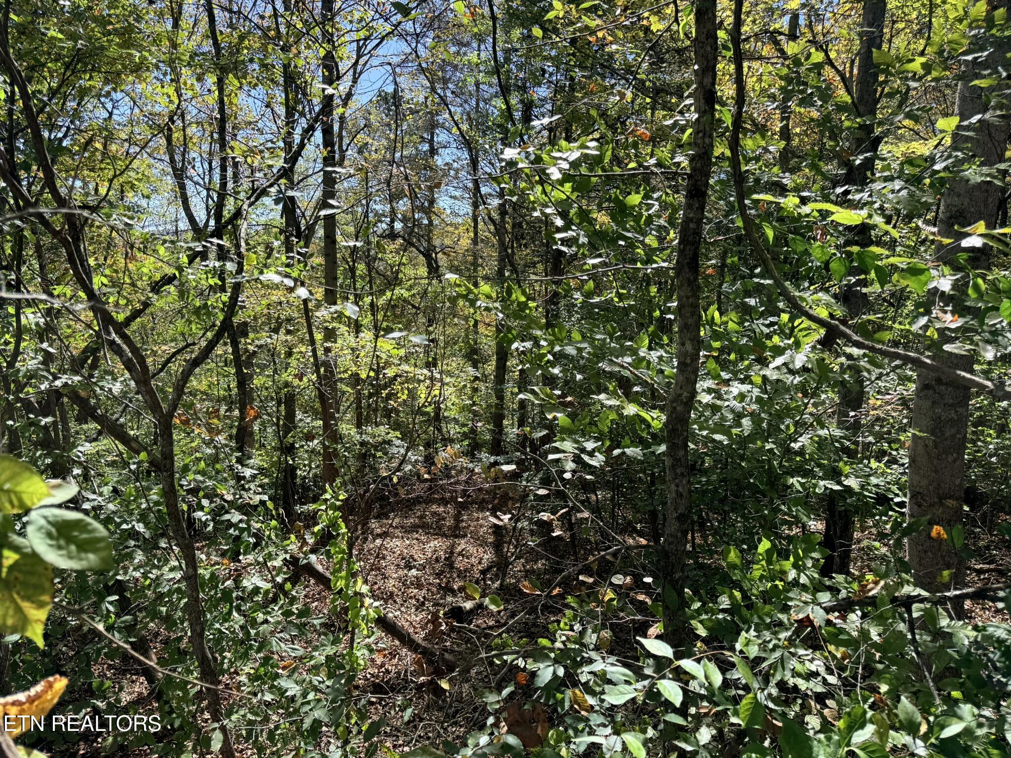 Indian Creek Road Jacksboro TN 37757