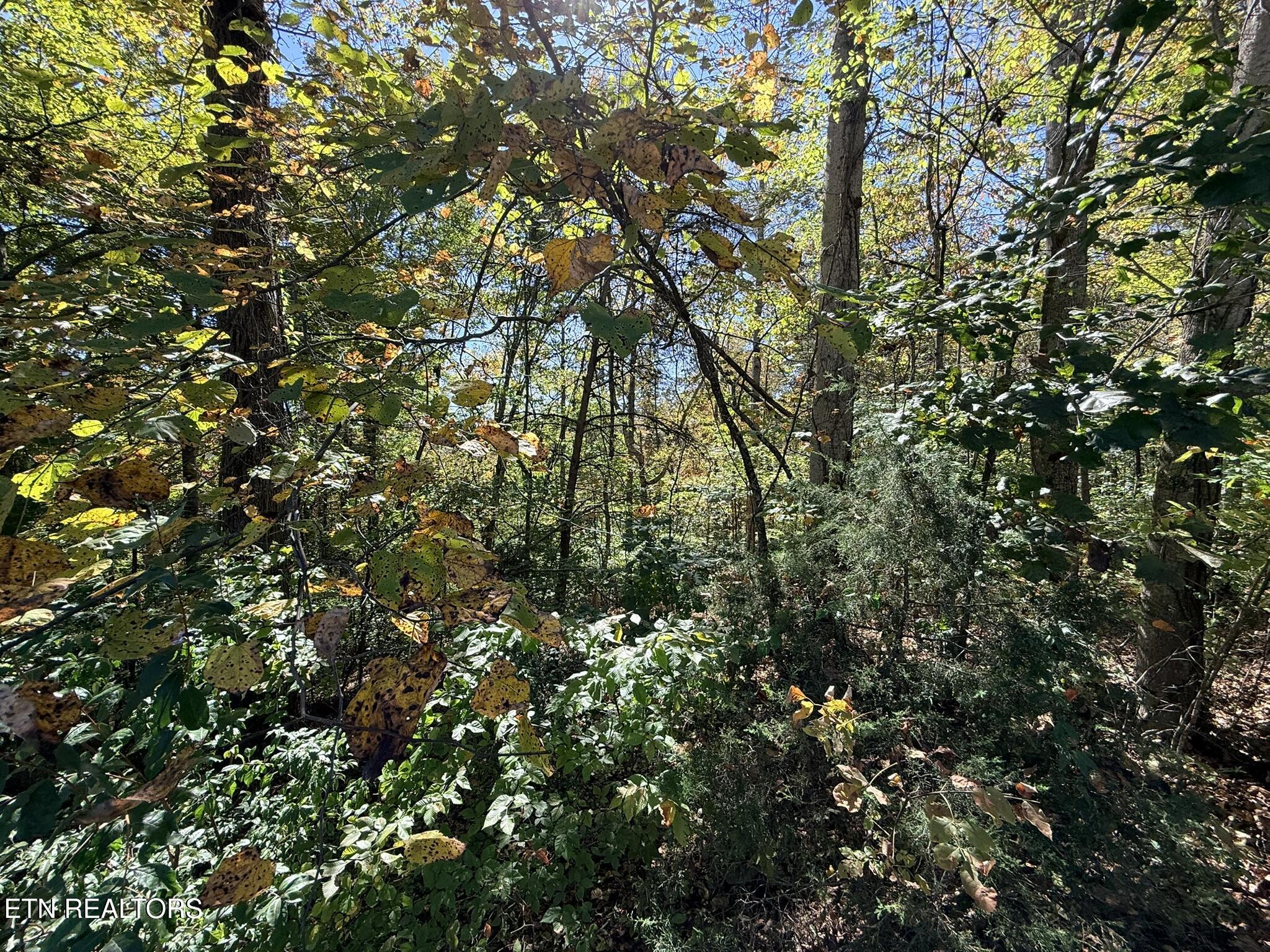 Indian Creek Road Jacksboro TN 37757
