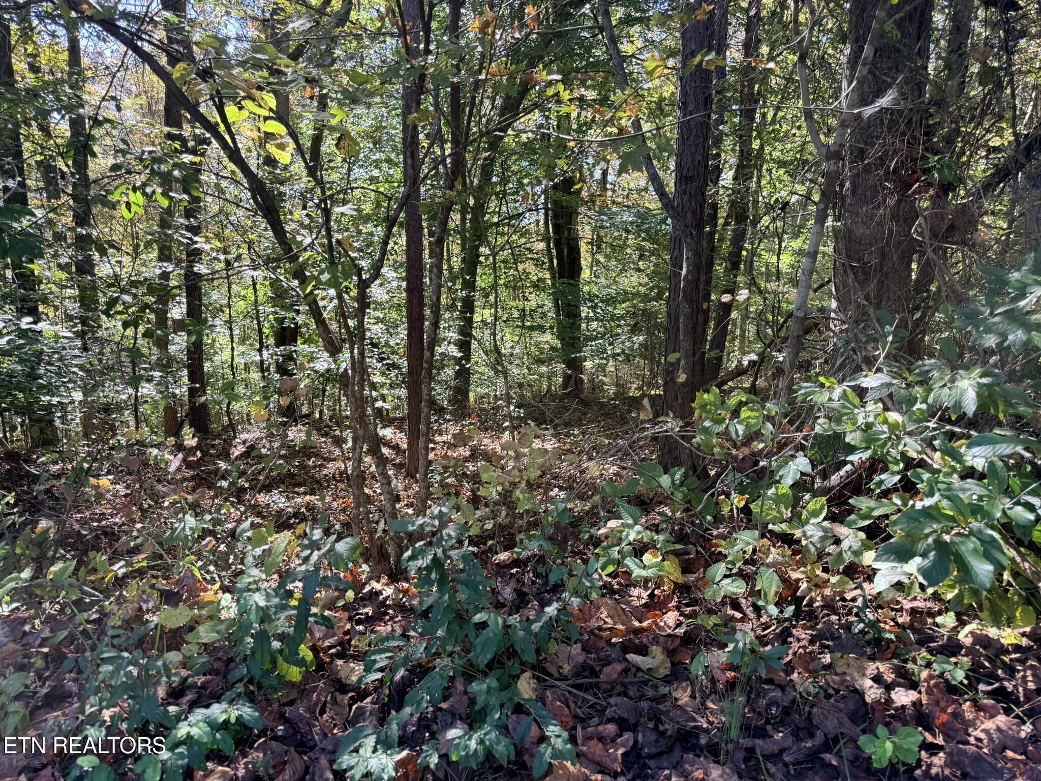 Indian Creek Road Jacksboro TN 37757
