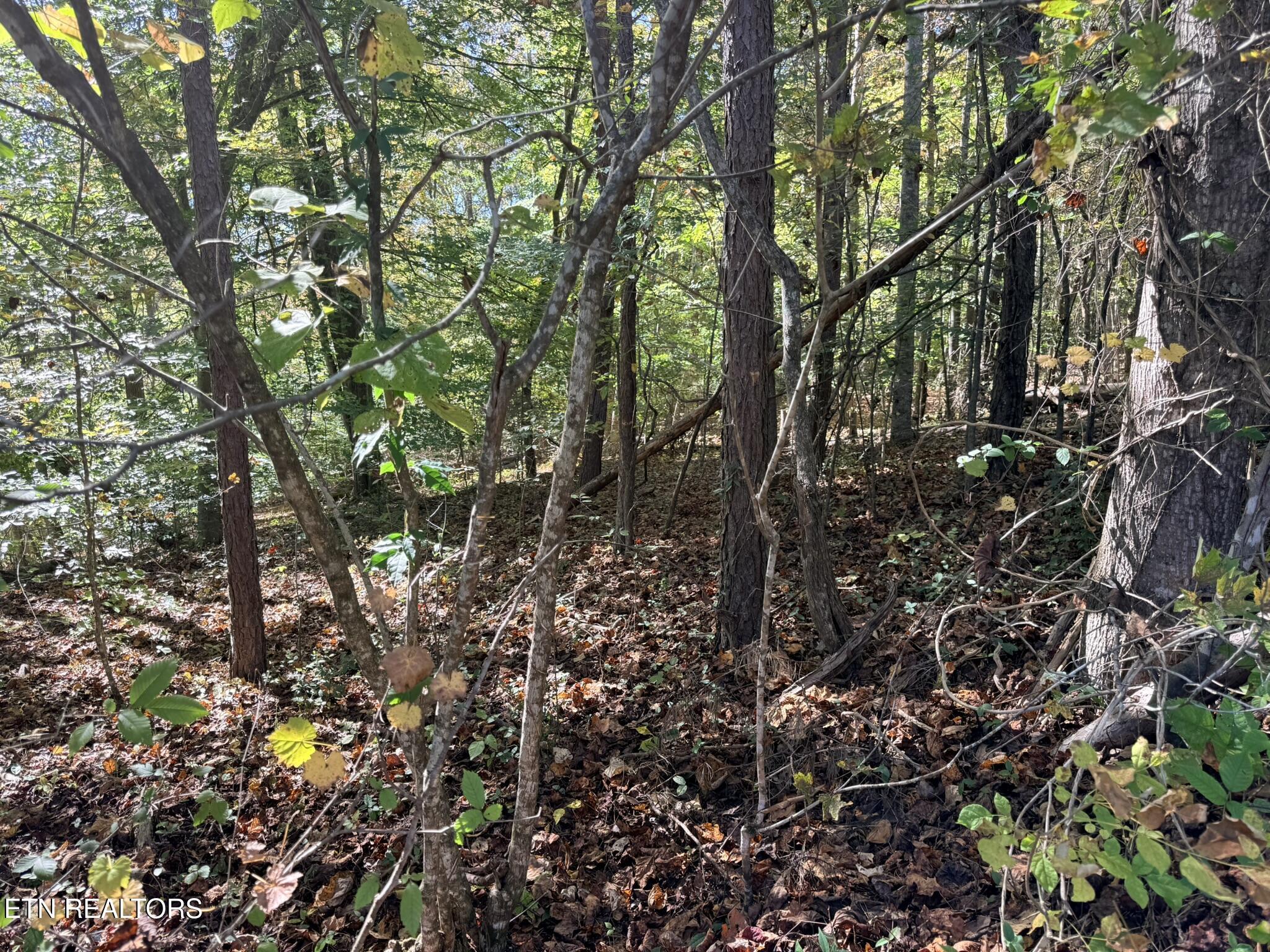 Indian Creek Road Jacksboro TN 37757