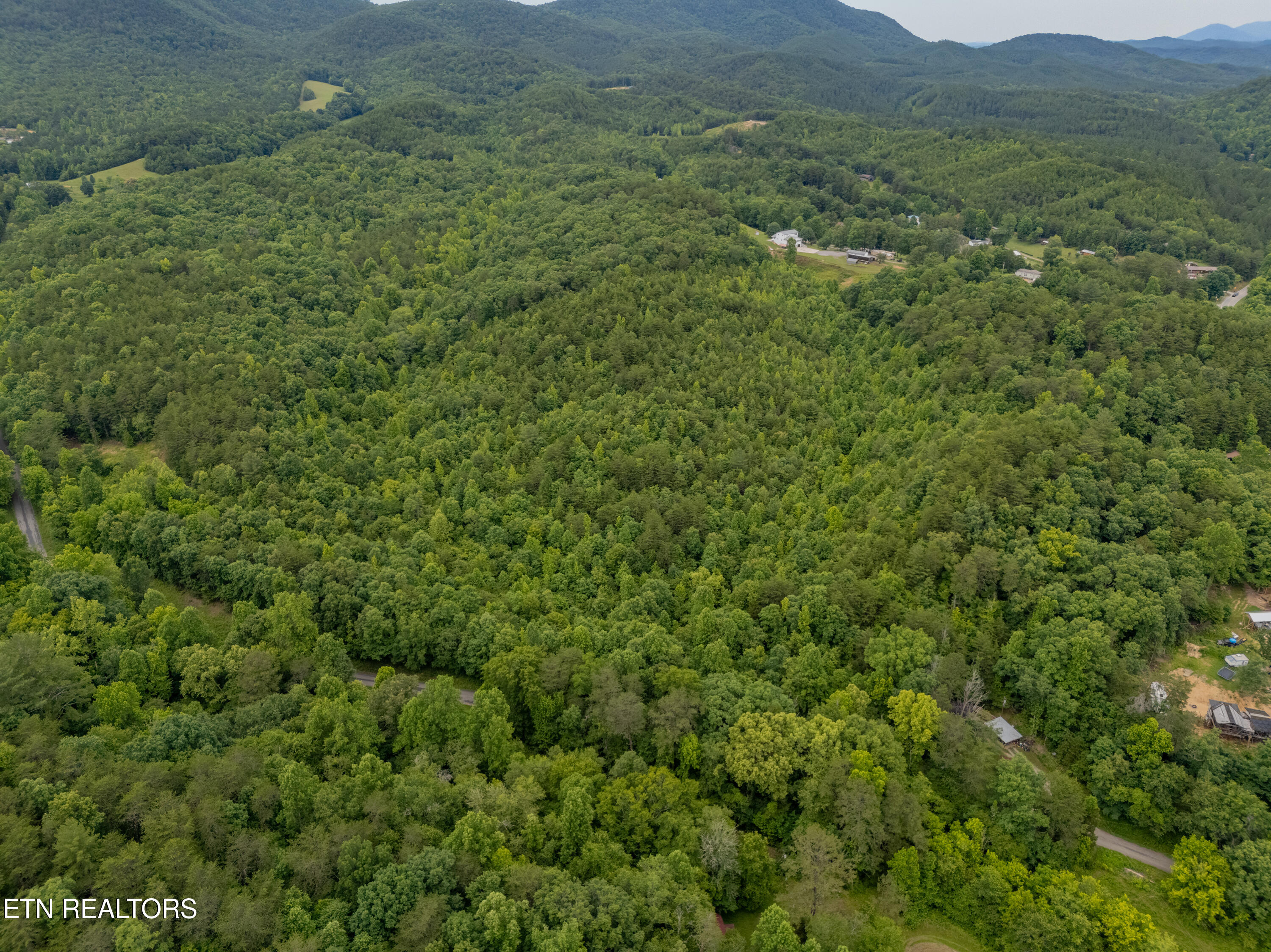 Wiggins Road Tellico Plains TN 37385