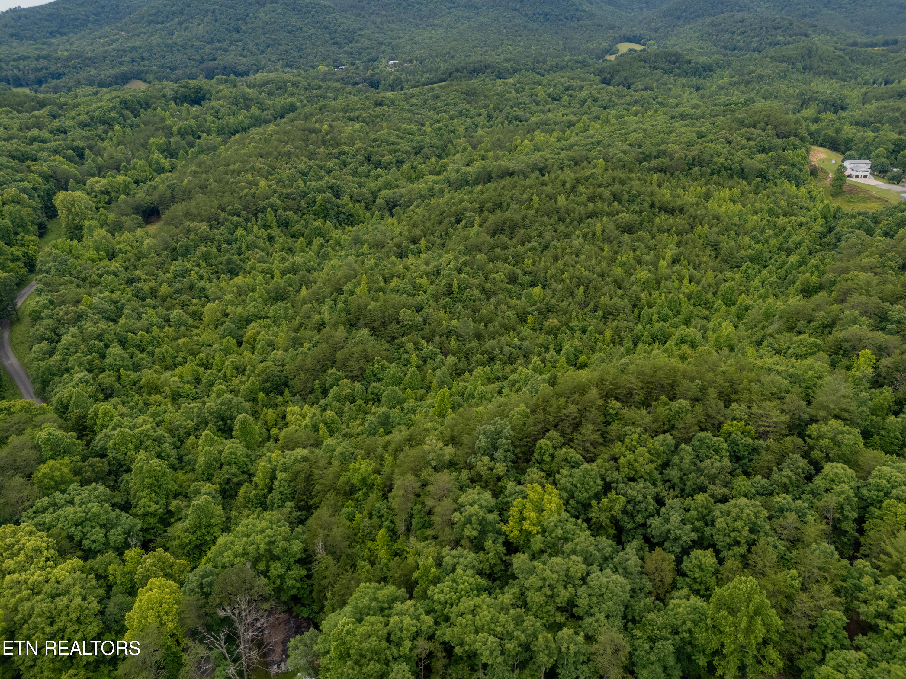 Wiggins Road Tellico Plains TN 37385