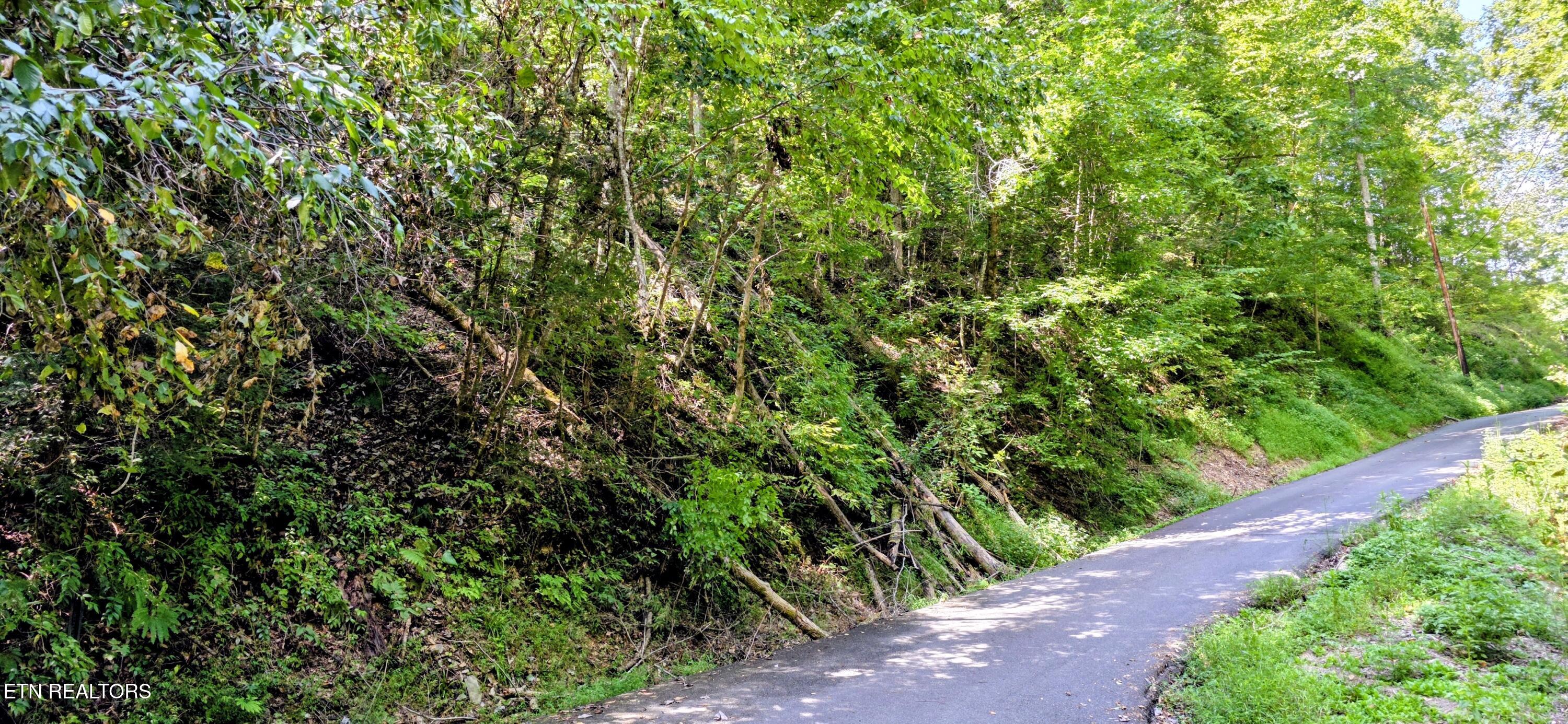 Lot 0005 Sugar Maple Loop Road Sevierville TN 37862