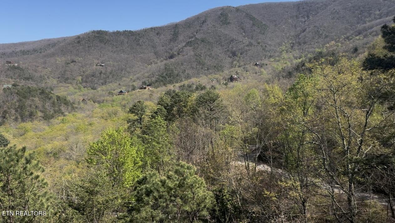 Lot 11 Perry Circle Lane Sevierville TN 37862