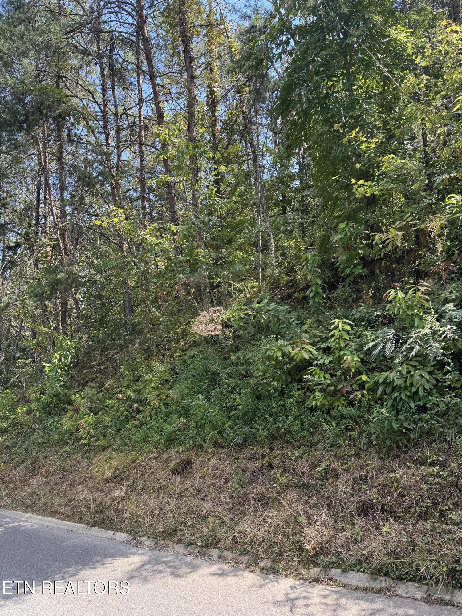 S. B. Ogle Sevierville TN 37876