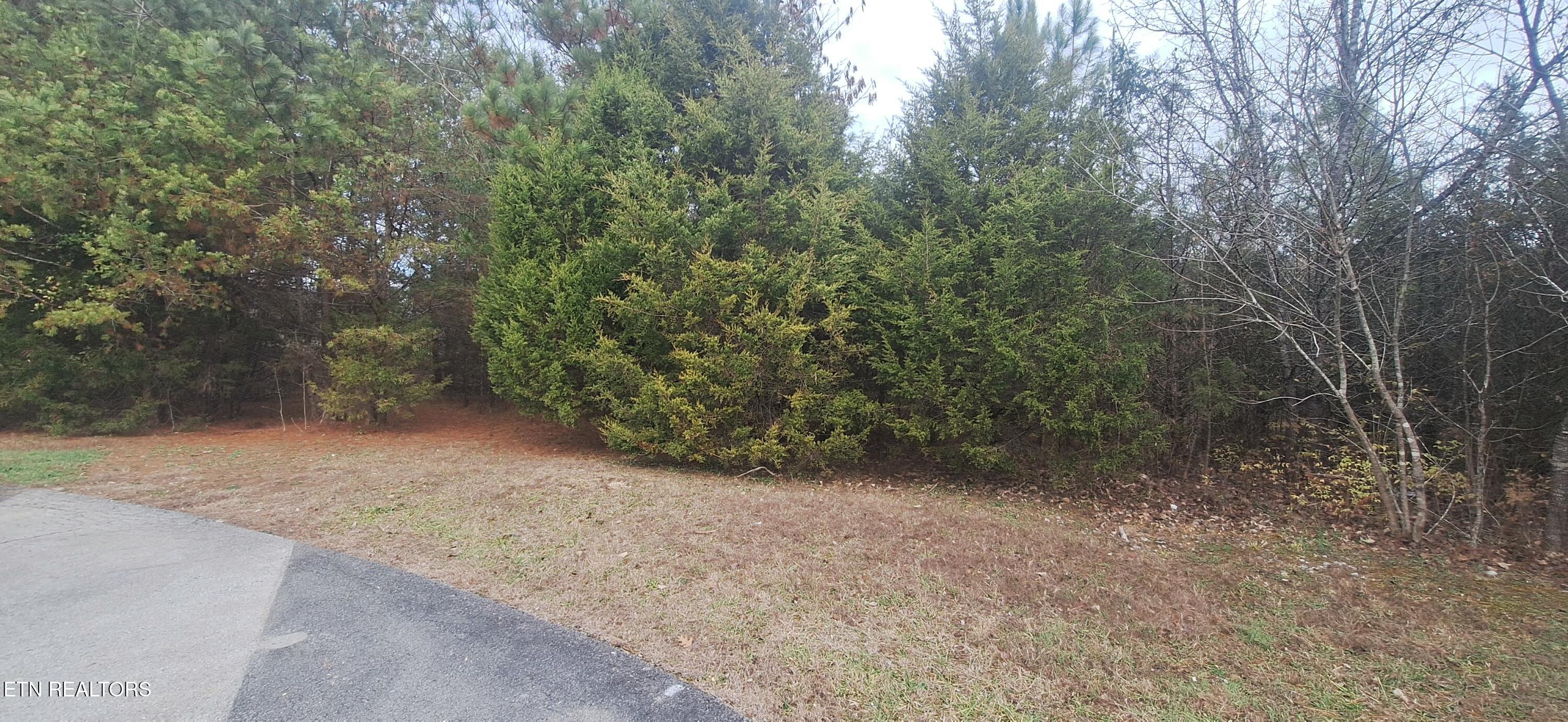 Raintree Lane Kingston TN 37763