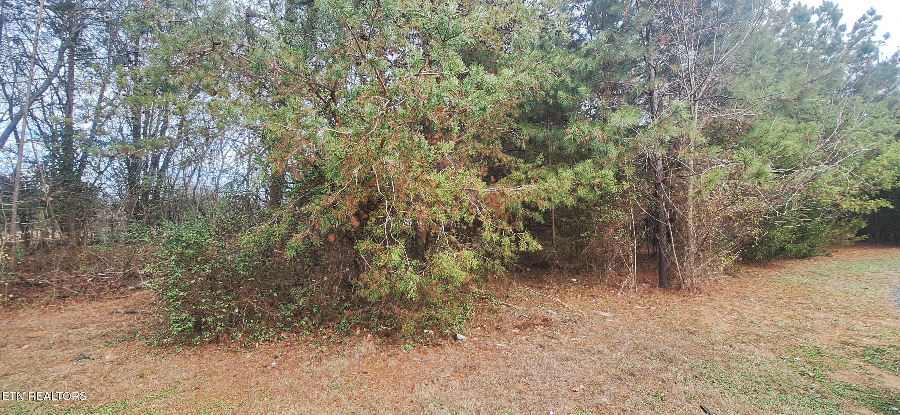 Raintree Lane Kingston TN 37763