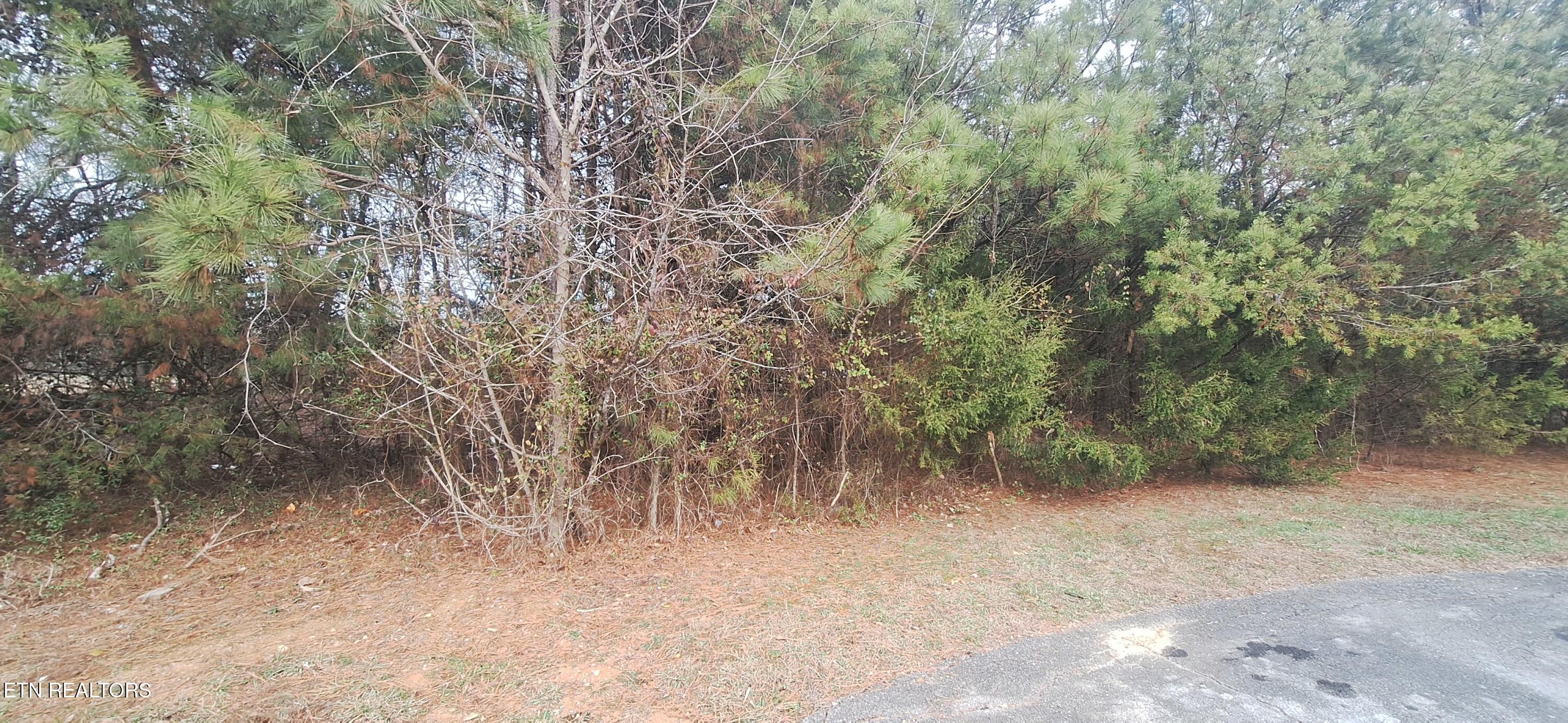 Raintree Lane Kingston TN 37763