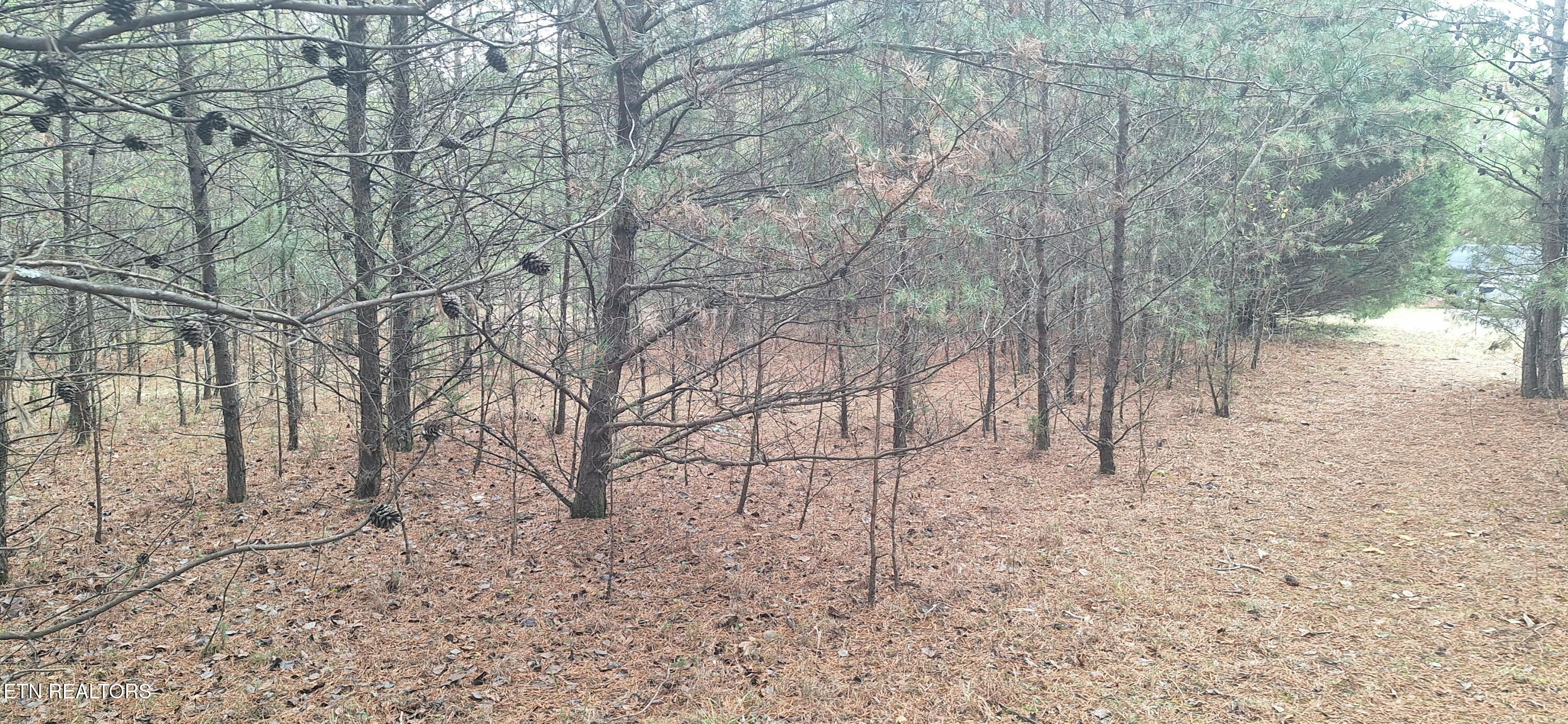 Raintree Lane Kingston TN 37763