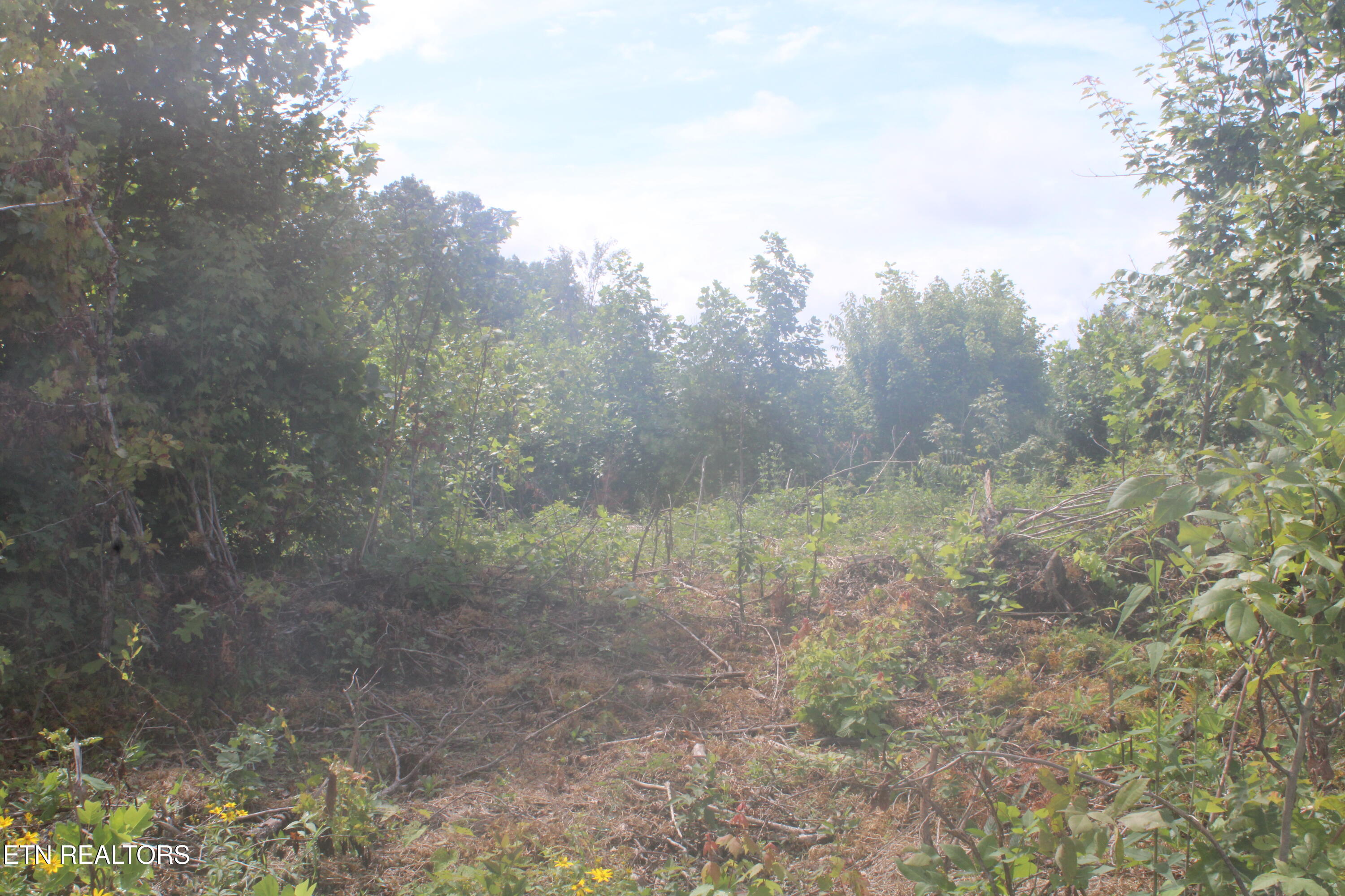 2058 Pickett Park Highway Jamestown TN 38556