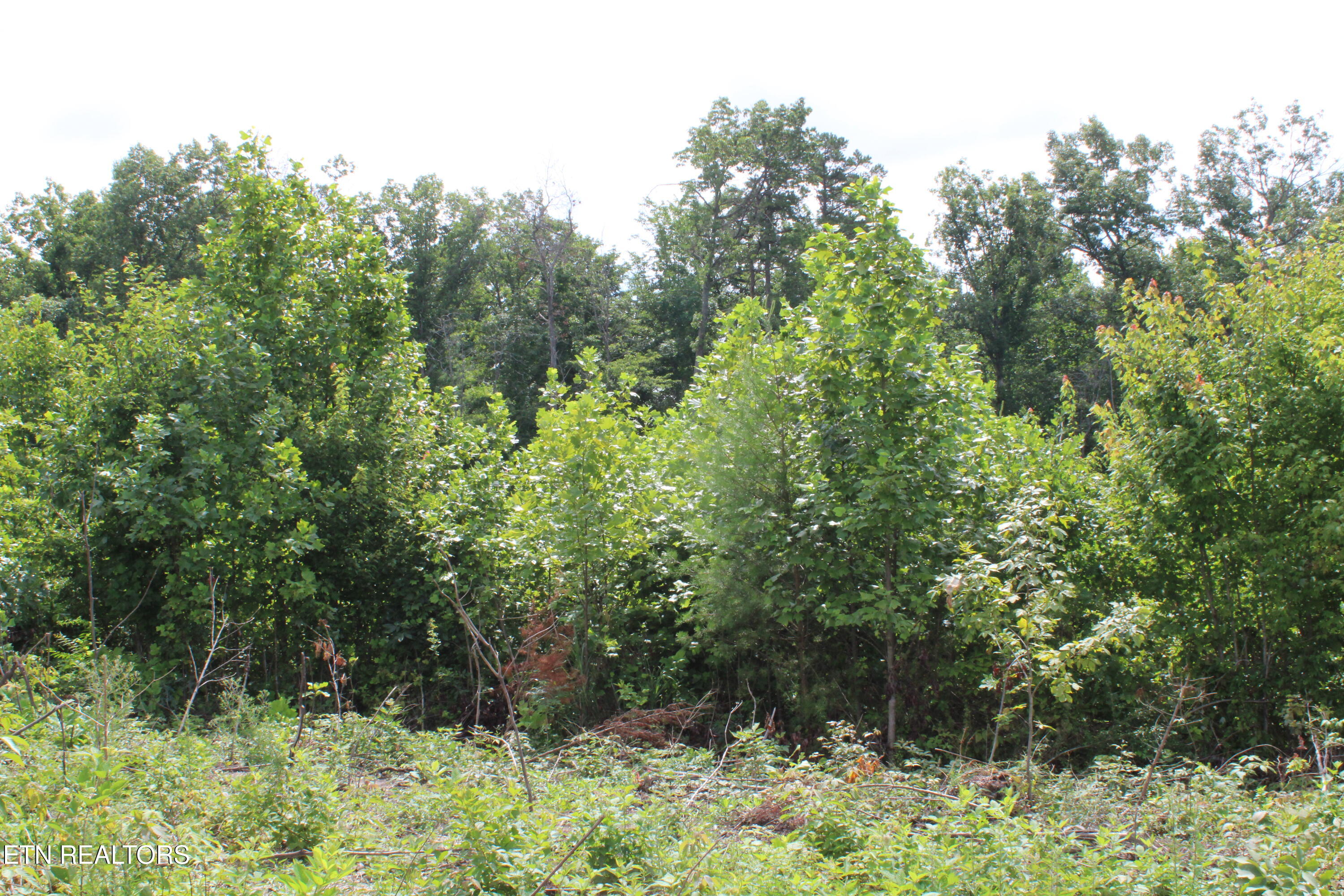 2058 Pickett Park Highway Jamestown TN 38556