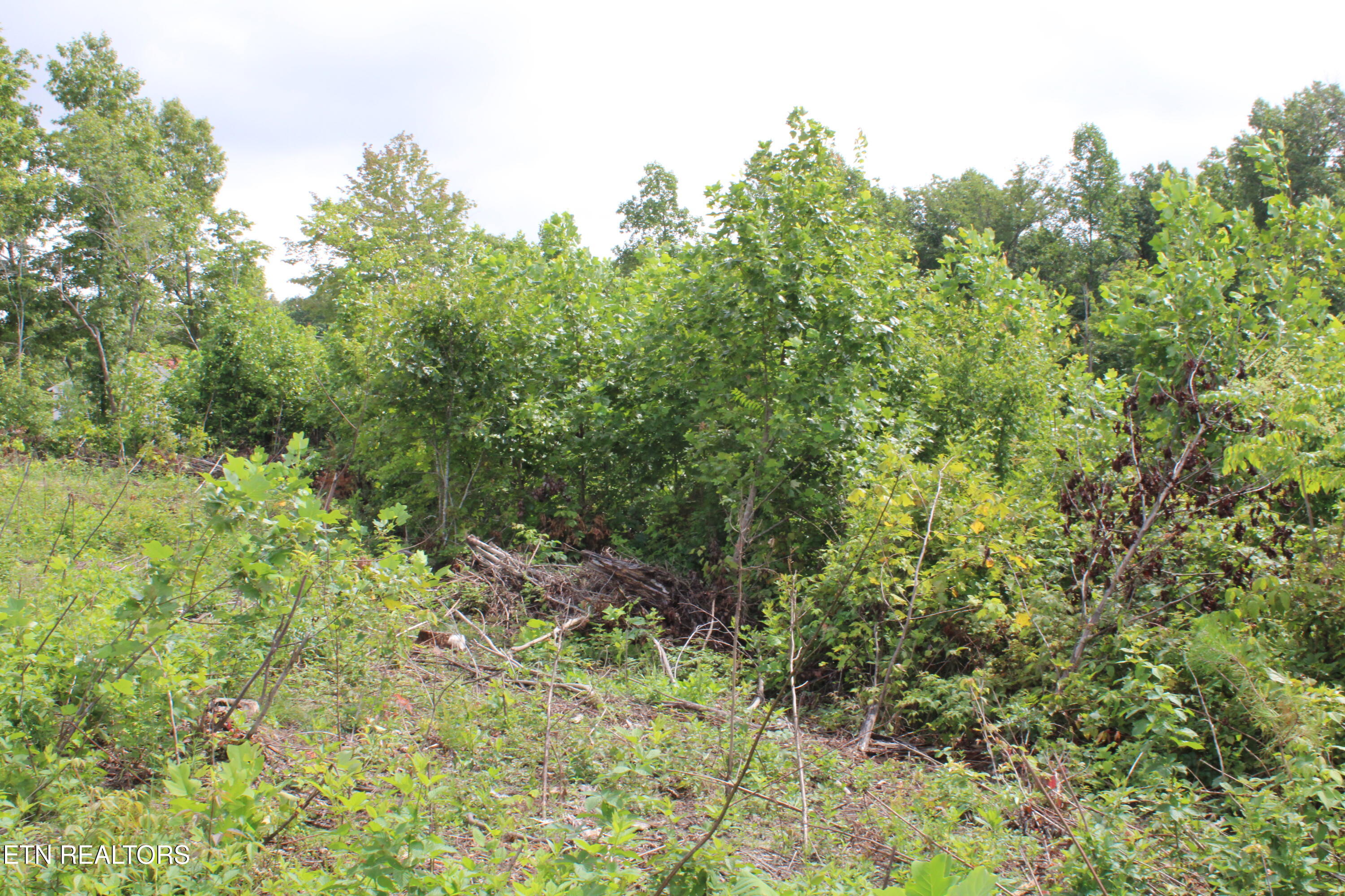 2058 Pickett Park Highway Jamestown TN 38556