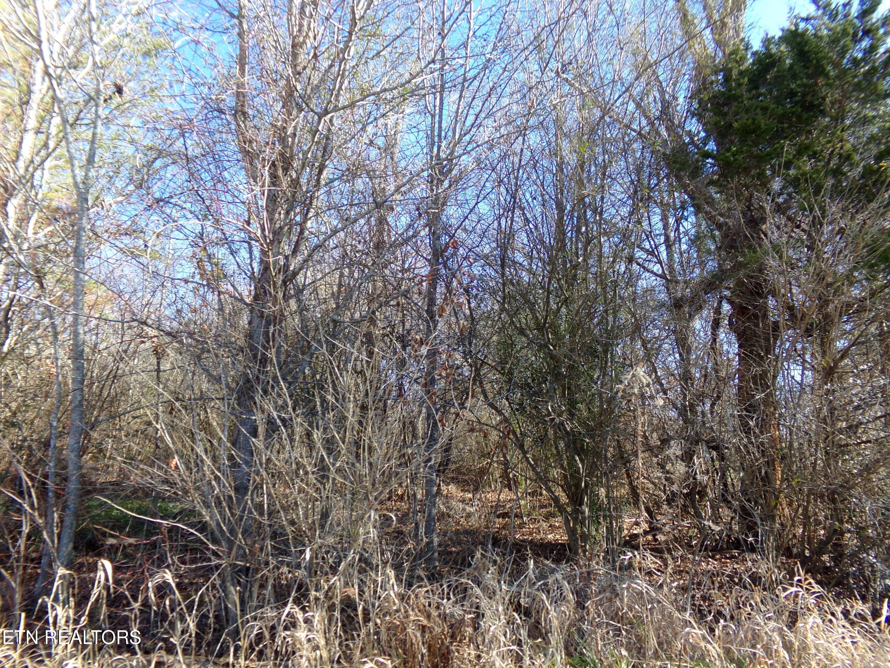 1037 Goti Drive Crossville TN 38572
