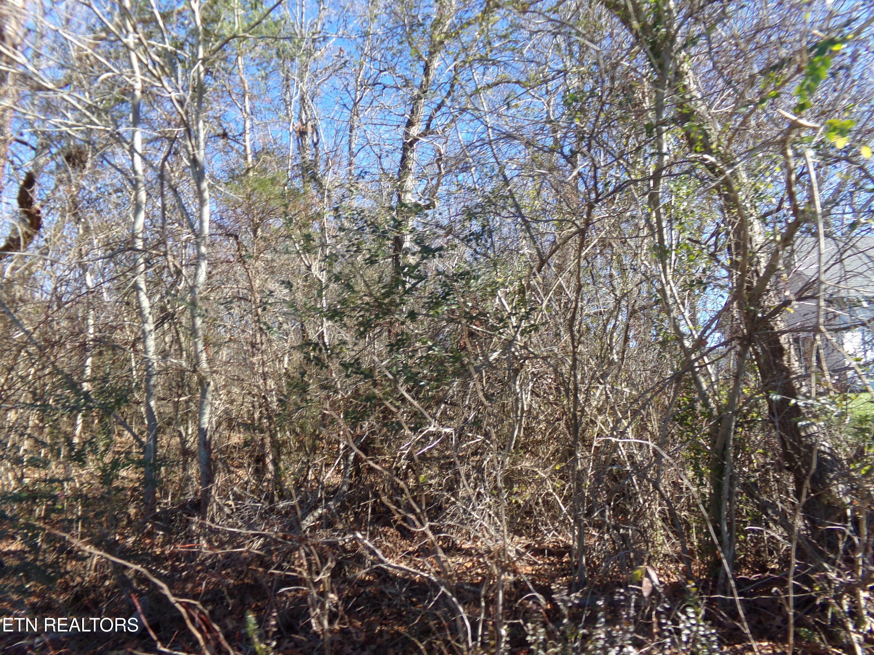 1037 Goti Drive Crossville TN 38572