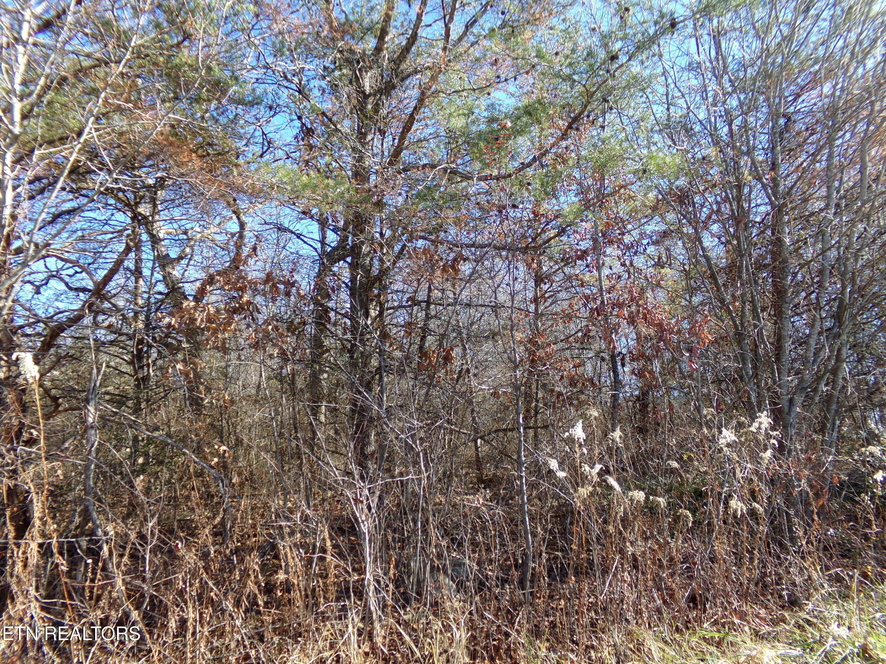 1037 Goti Drive Crossville TN 38572