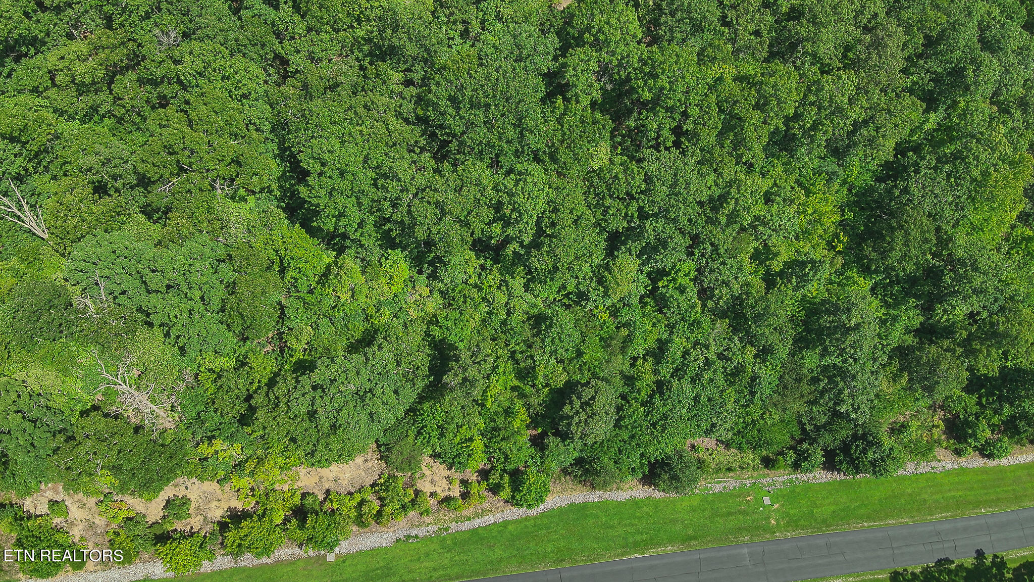393 W Mountain Drive Rockwood TN 37854
