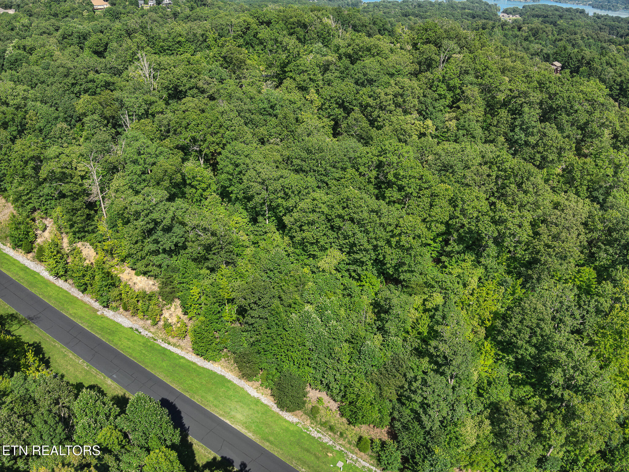 393 W Mountain Drive Rockwood TN 37854