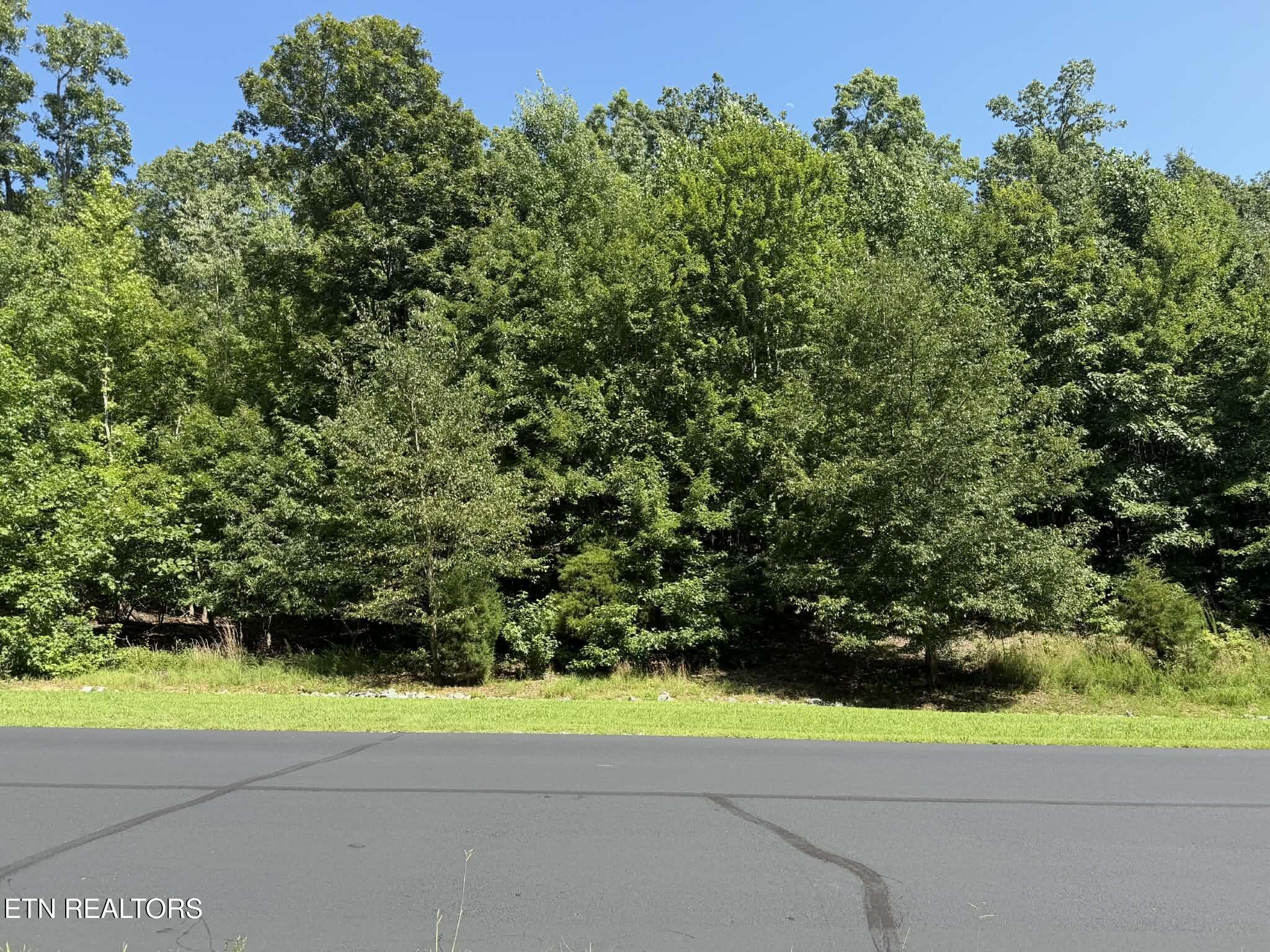 393 W Mountain Drive Rockwood TN 37854