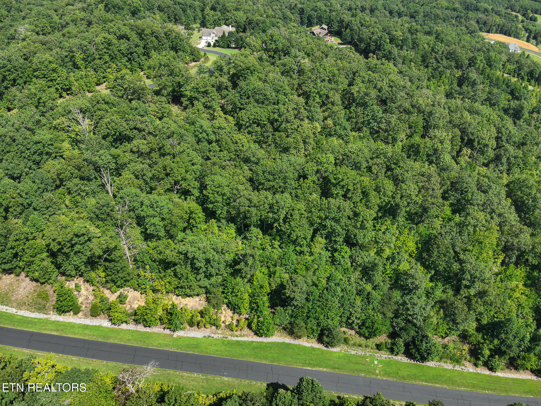 393 W Mountain Drive Rockwood TN 37854