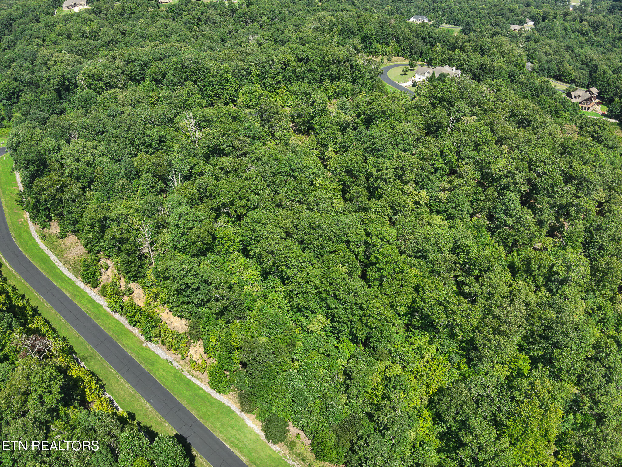 393 W Mountain Drive Rockwood TN 37854