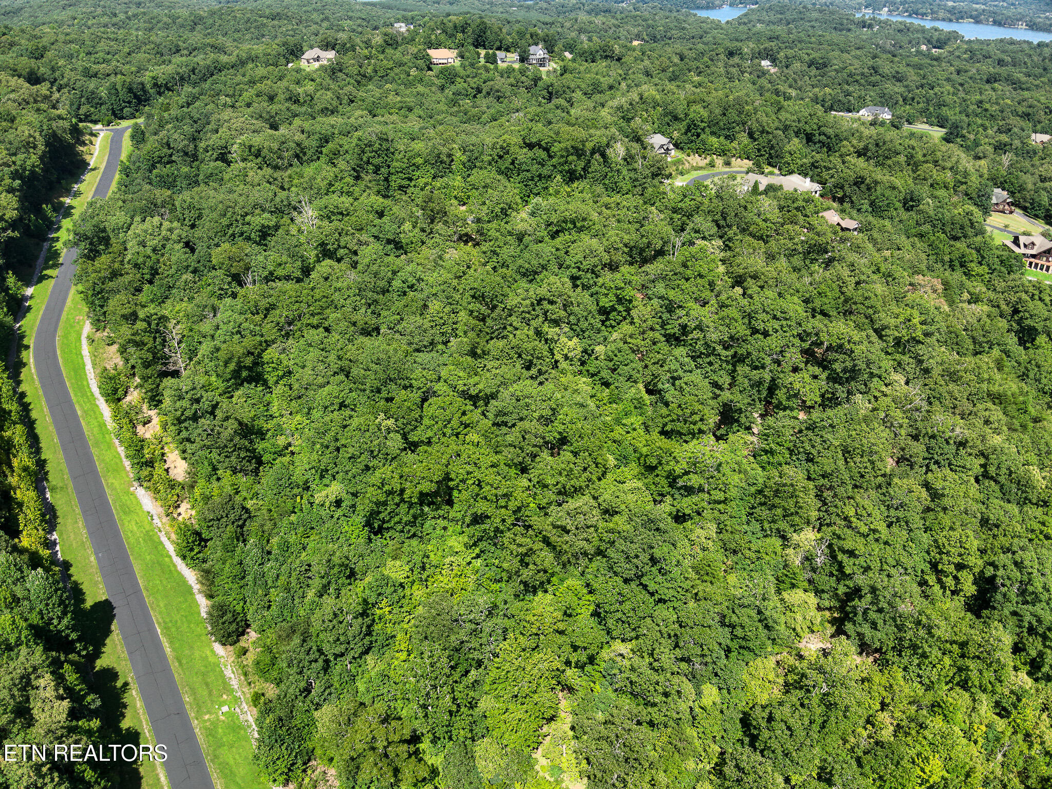 393 W Mountain Drive Rockwood TN 37854
