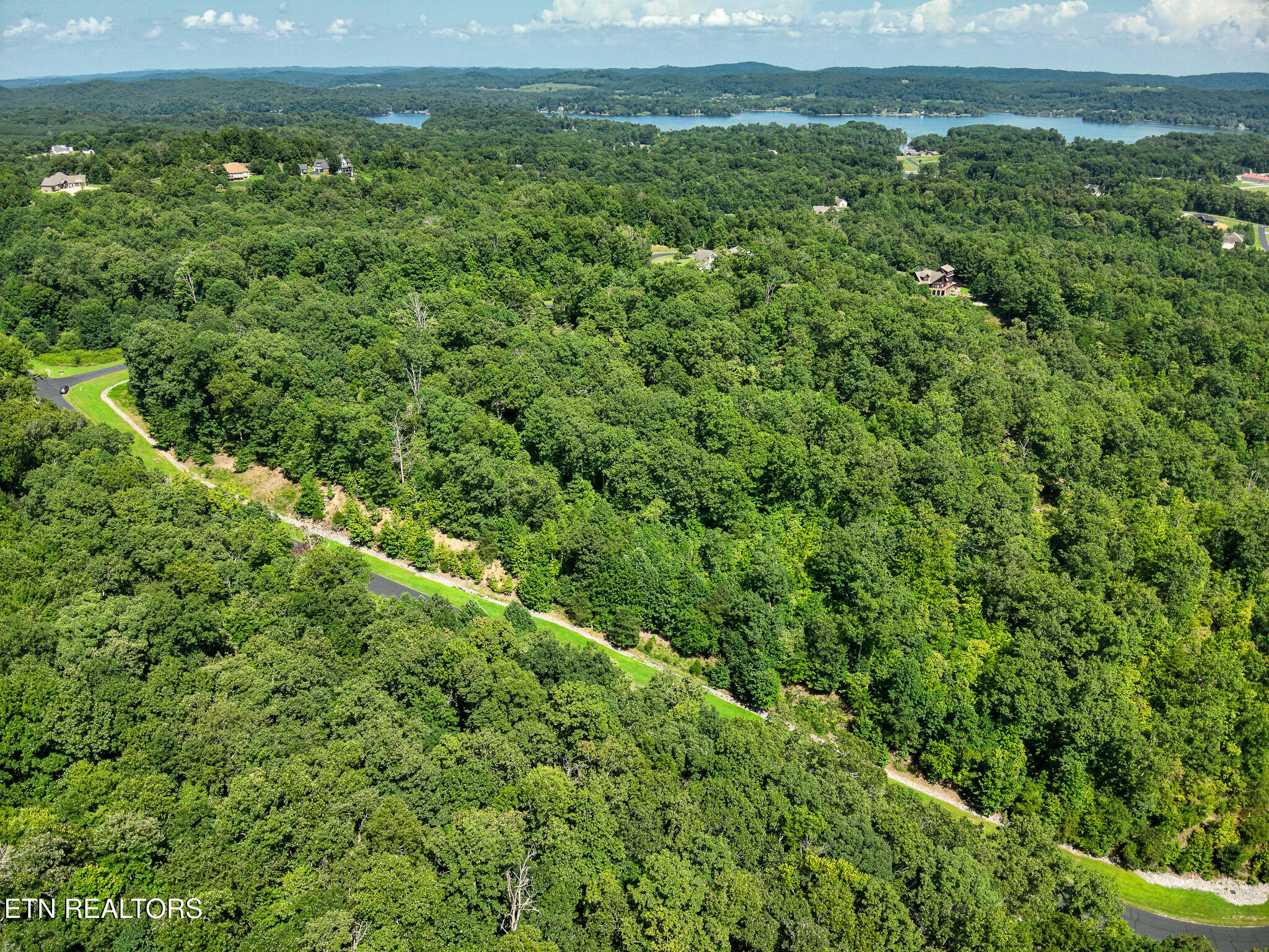 393 W Mountain Drive Rockwood TN 37854